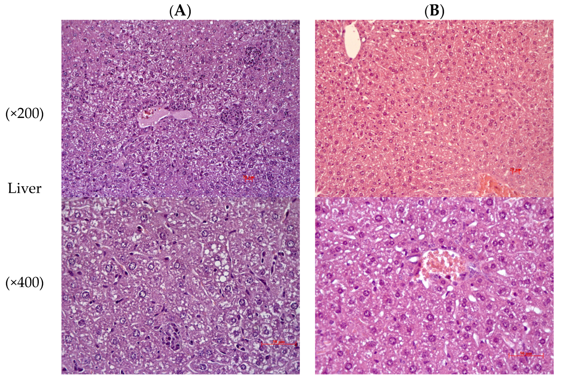 Pharmaceuticals 16 00768 g005a