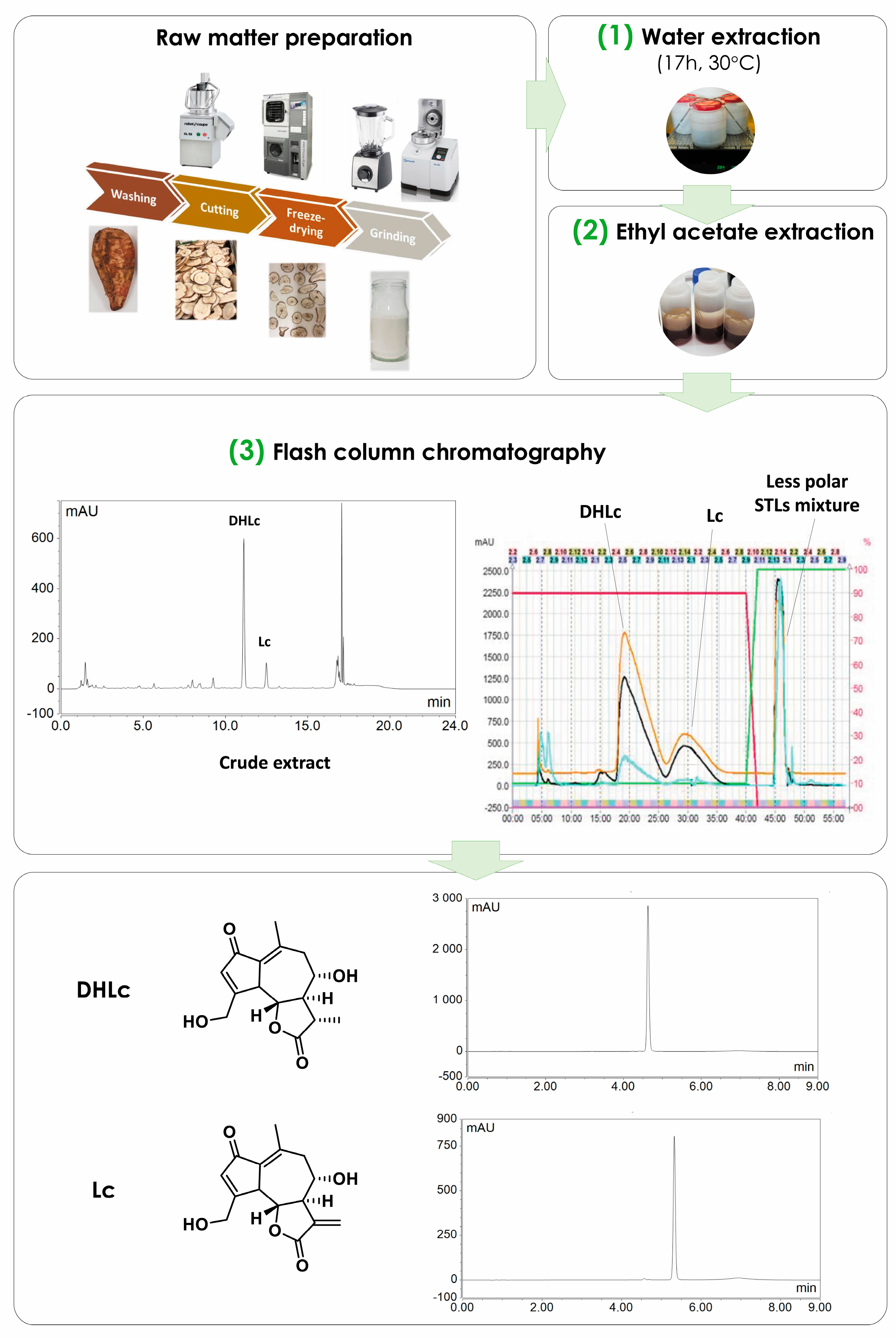 Pharmaceuticals 16 00771 g001