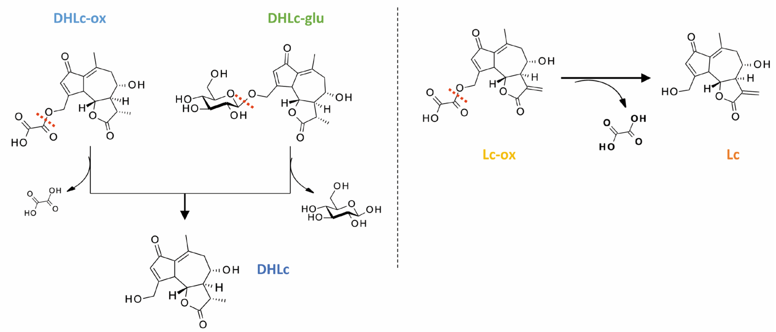 Pharmaceuticals 16 00771 g003