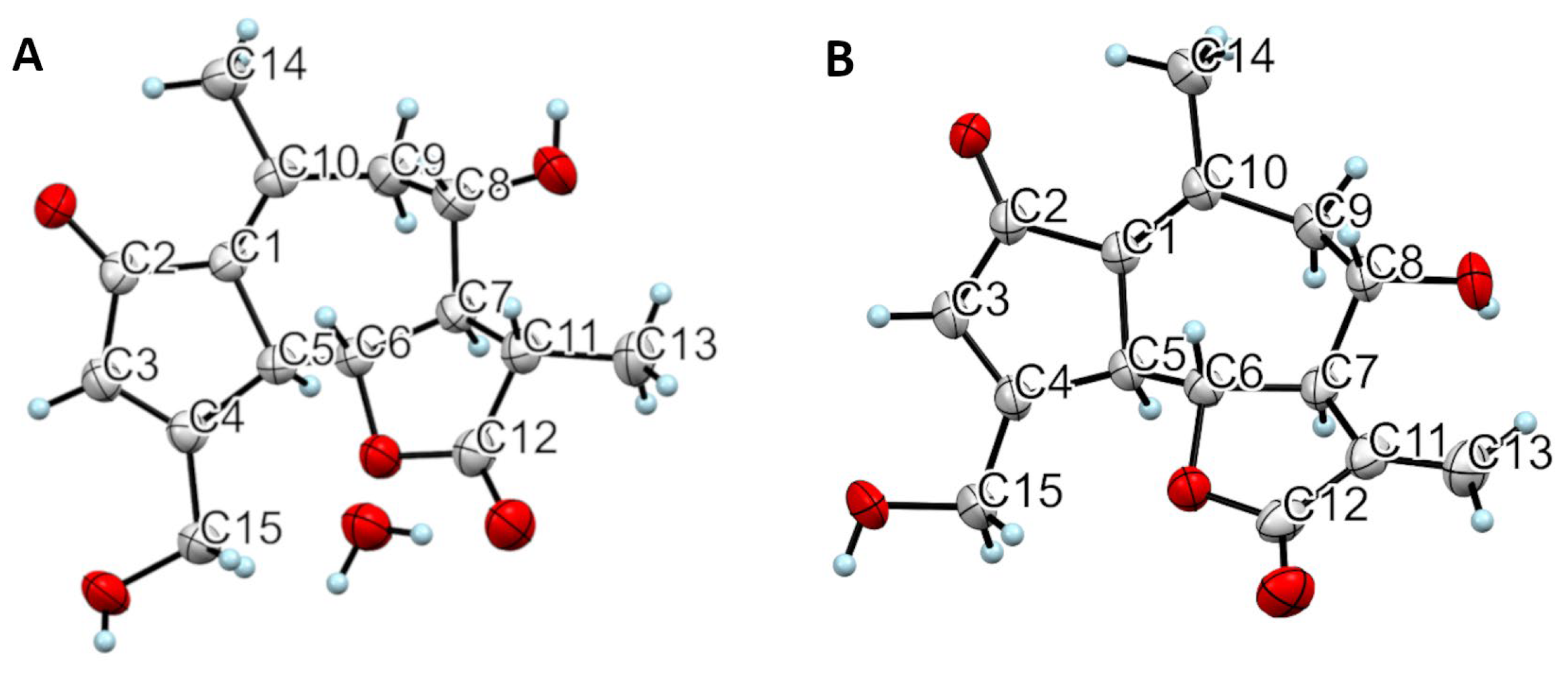 Pharmaceuticals 16 00771 g005