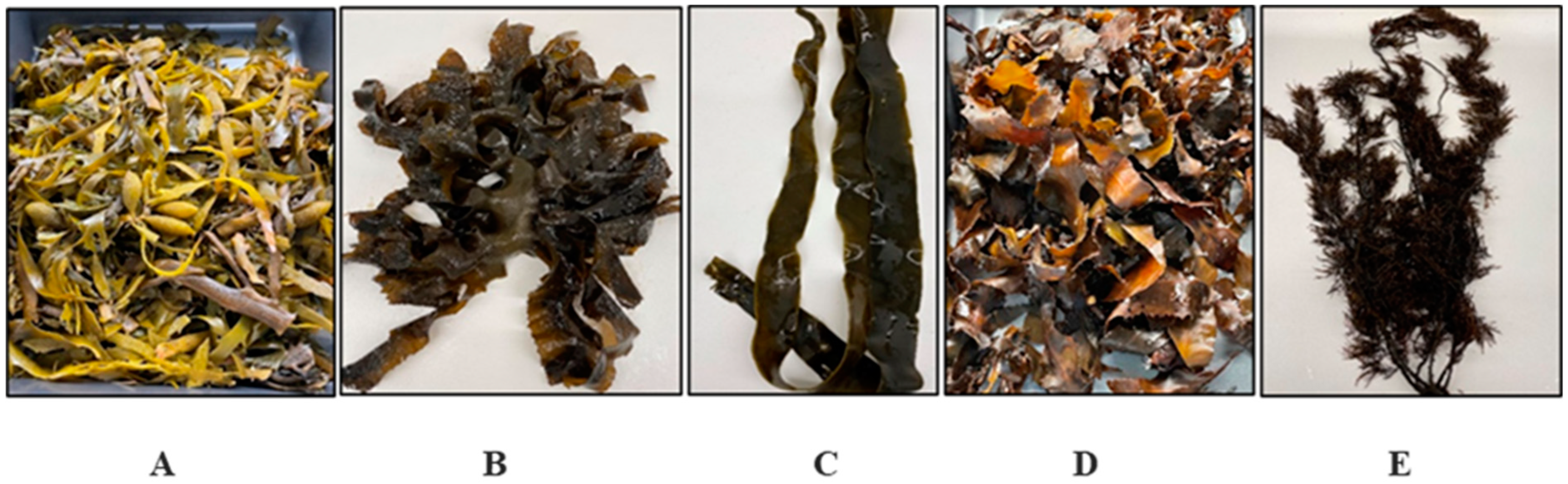 Pharmaceuticals 16 00773 g007 Pharmaceuticals 16 00773 g007