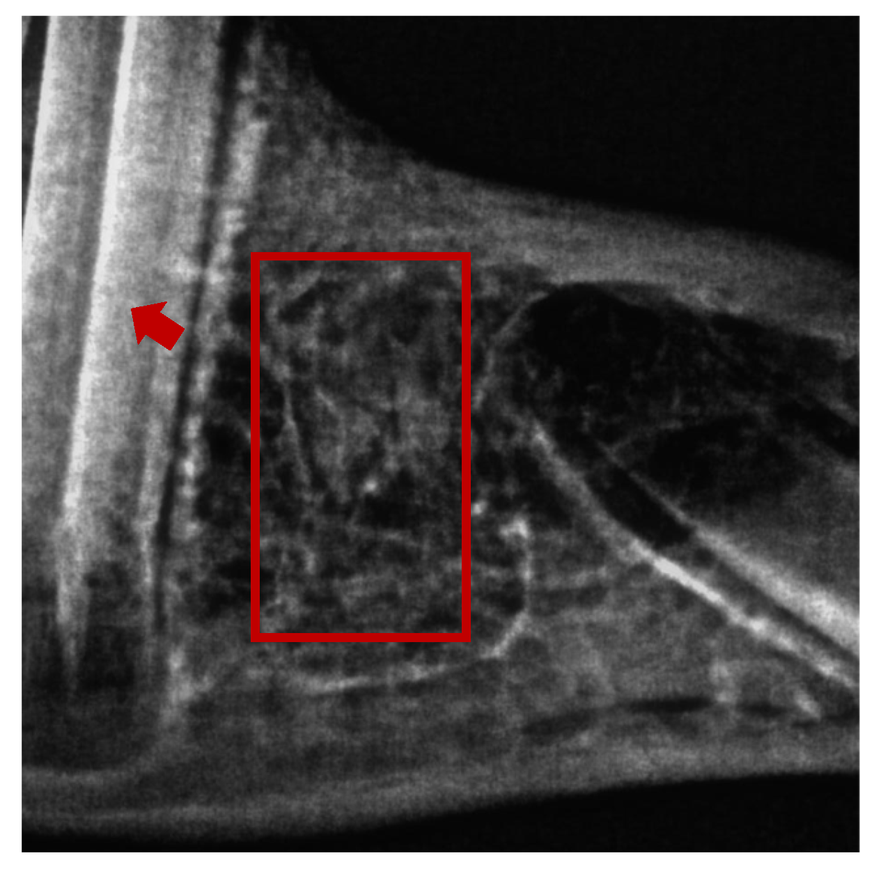 Pharmaceuticals 16 00774 g008