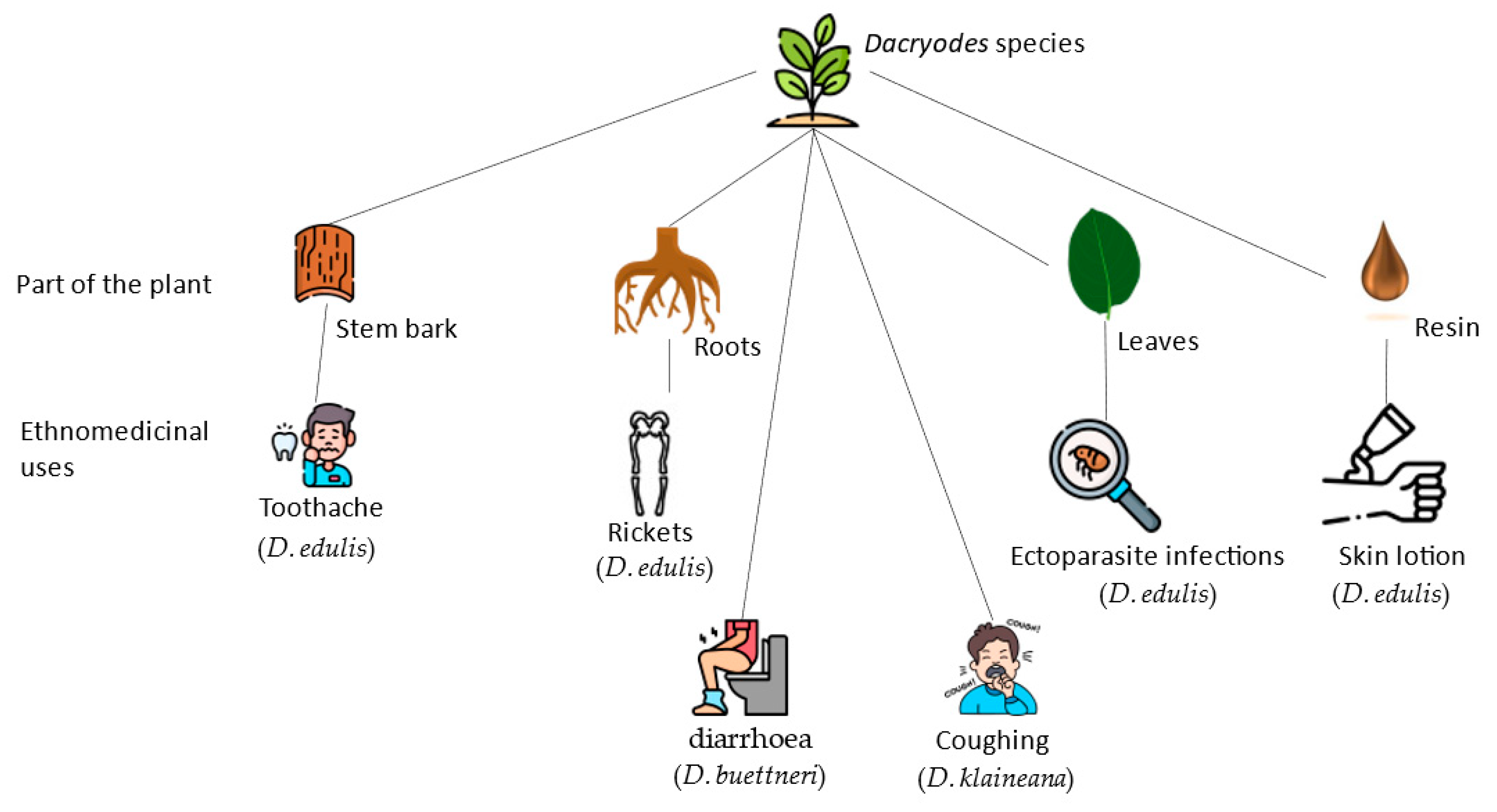 Pharmaceuticals 16 00775 g002 Pharmaceuticals 16 00775 g002