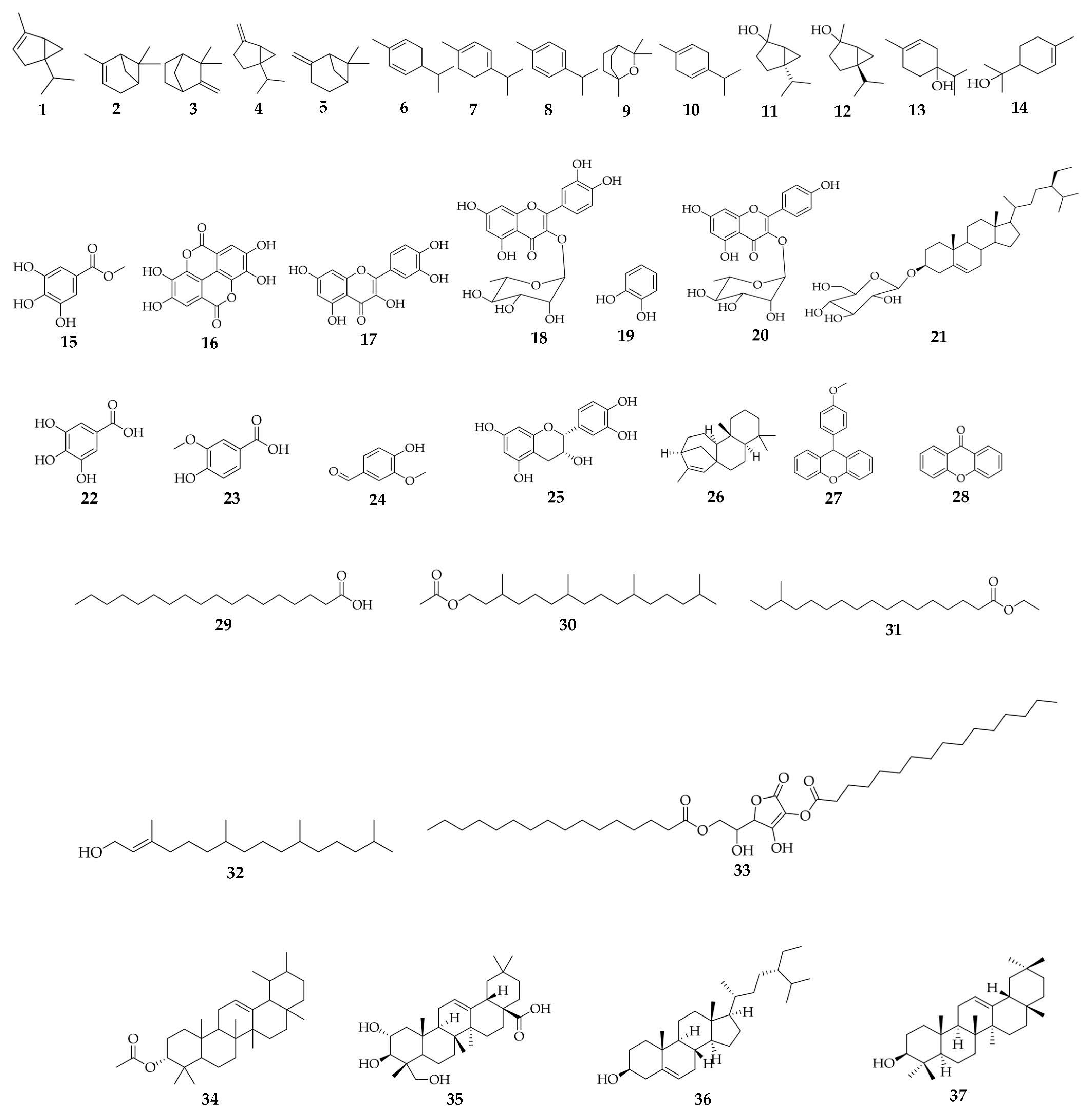 Pharmaceuticals 16 00775 g004 Pharmaceuticals 16 00775 g004