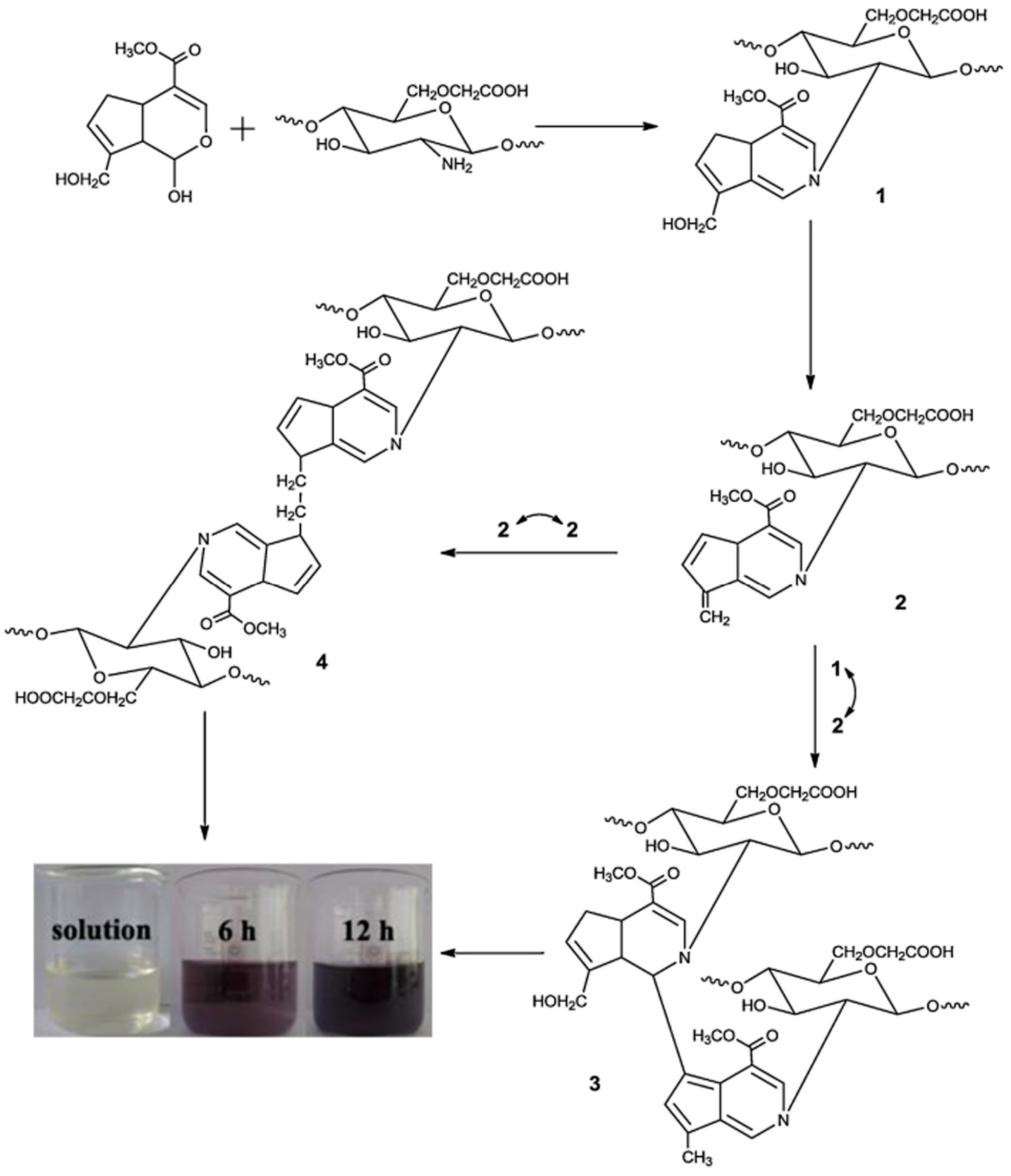 Pharmaceuticals 16 00776 g003 Pharmaceuticals 16 00776 g003