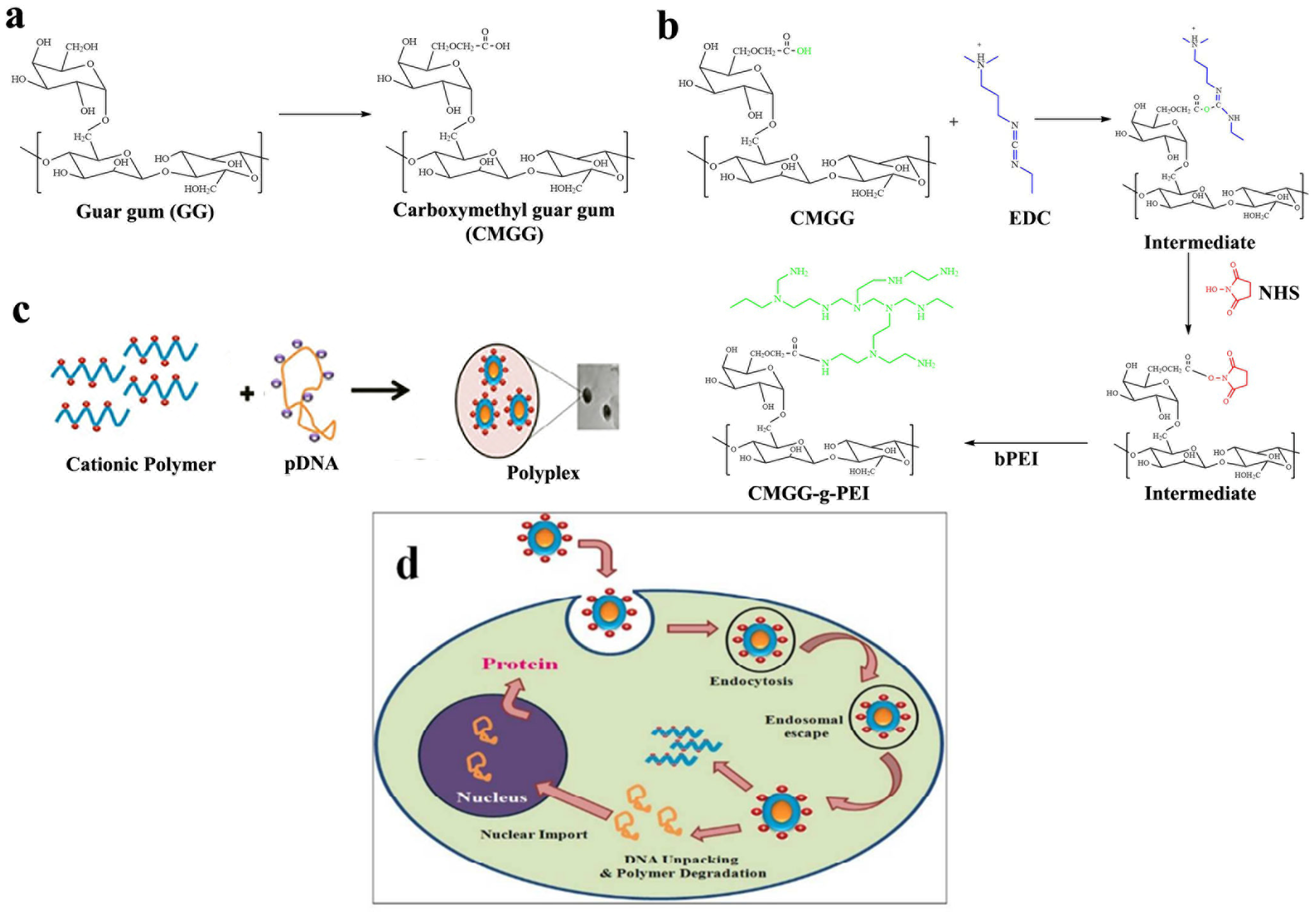 Pharmaceuticals 16 00776 g004 Pharmaceuticals 16 00776 g004
