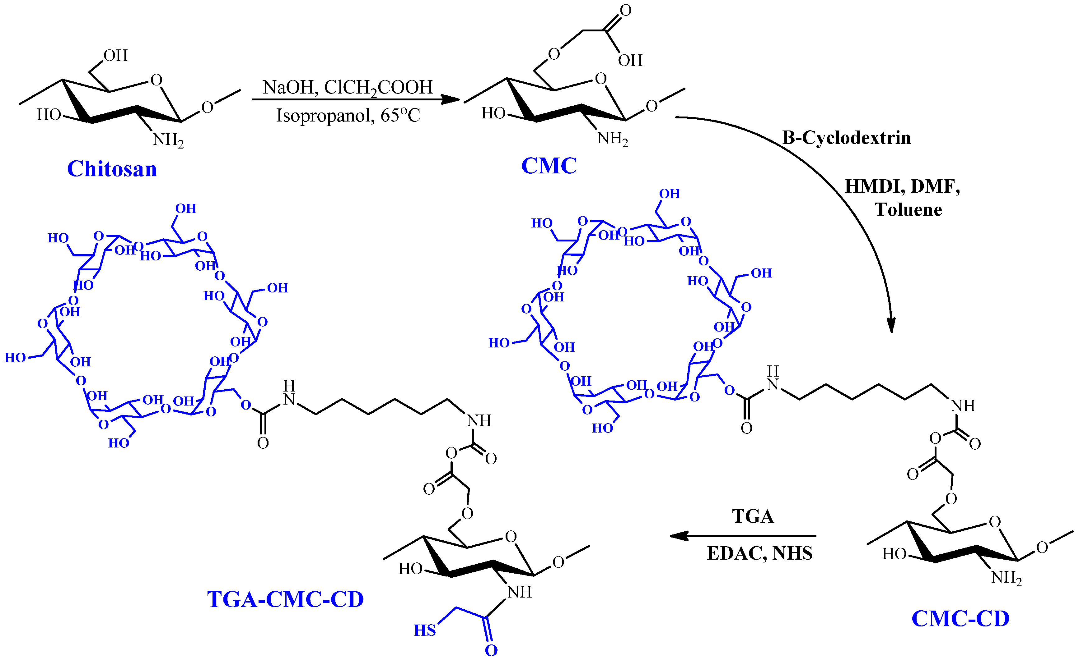 Pharmaceuticals 16 00776 g005 Pharmaceuticals 16 00776 g005