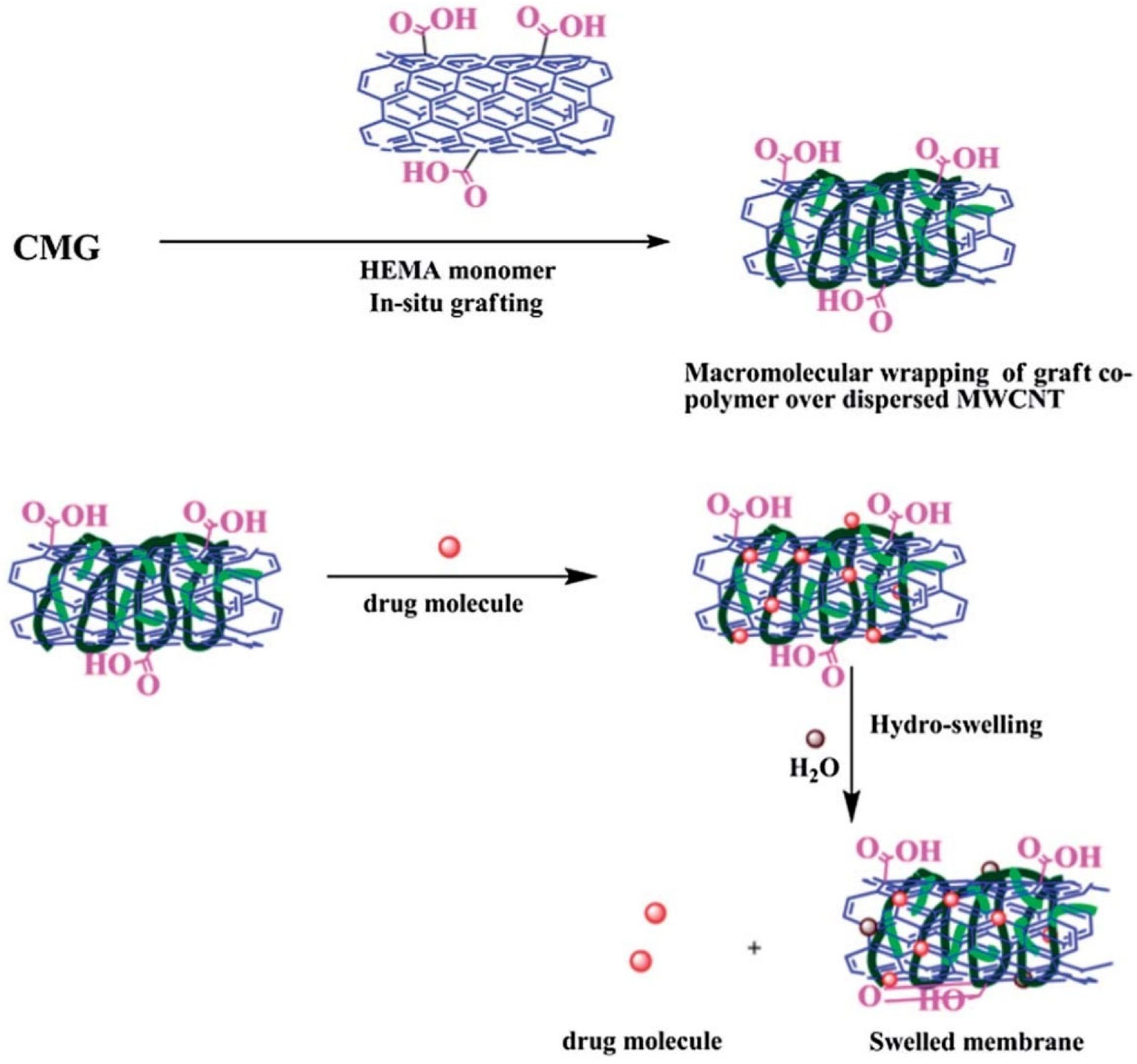 Pharmaceuticals 16 00776 g006 Pharmaceuticals 16 00776 g006