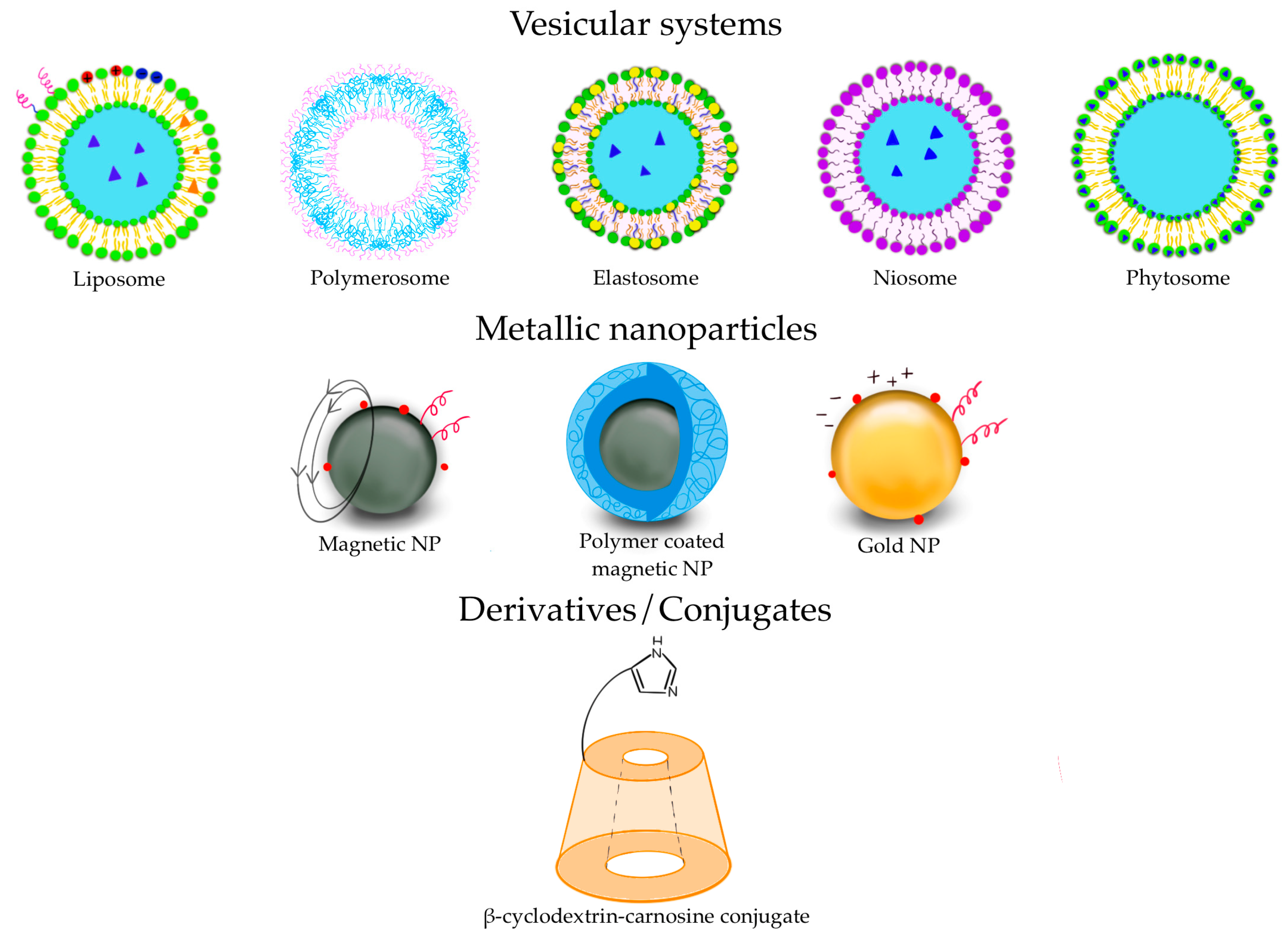 Pharmaceuticals 16 00778 g003 Pharmaceuticals 16 00778 g003