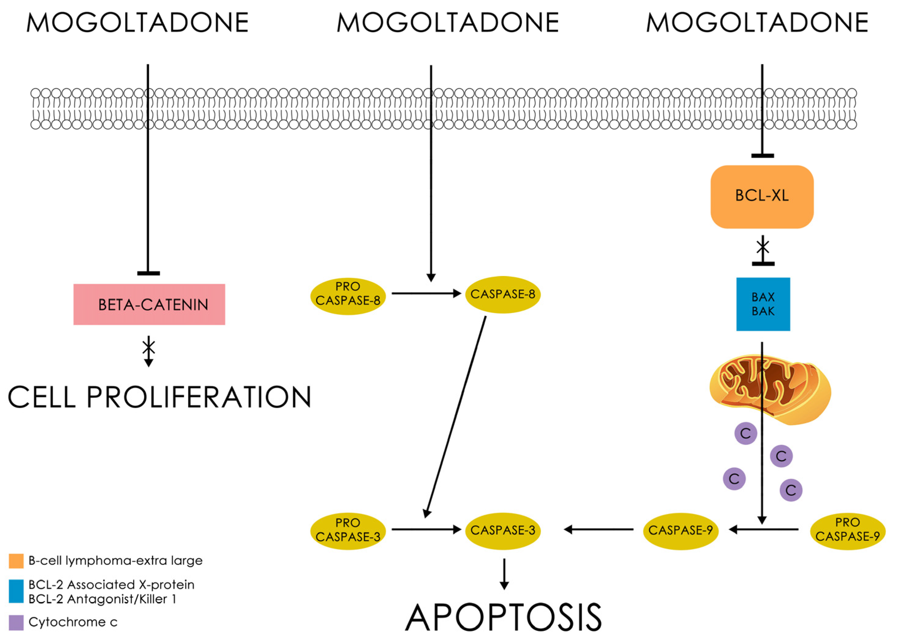 Pharmaceuticals 16 00792 g005 Pharmaceuticals 16 00792 g005