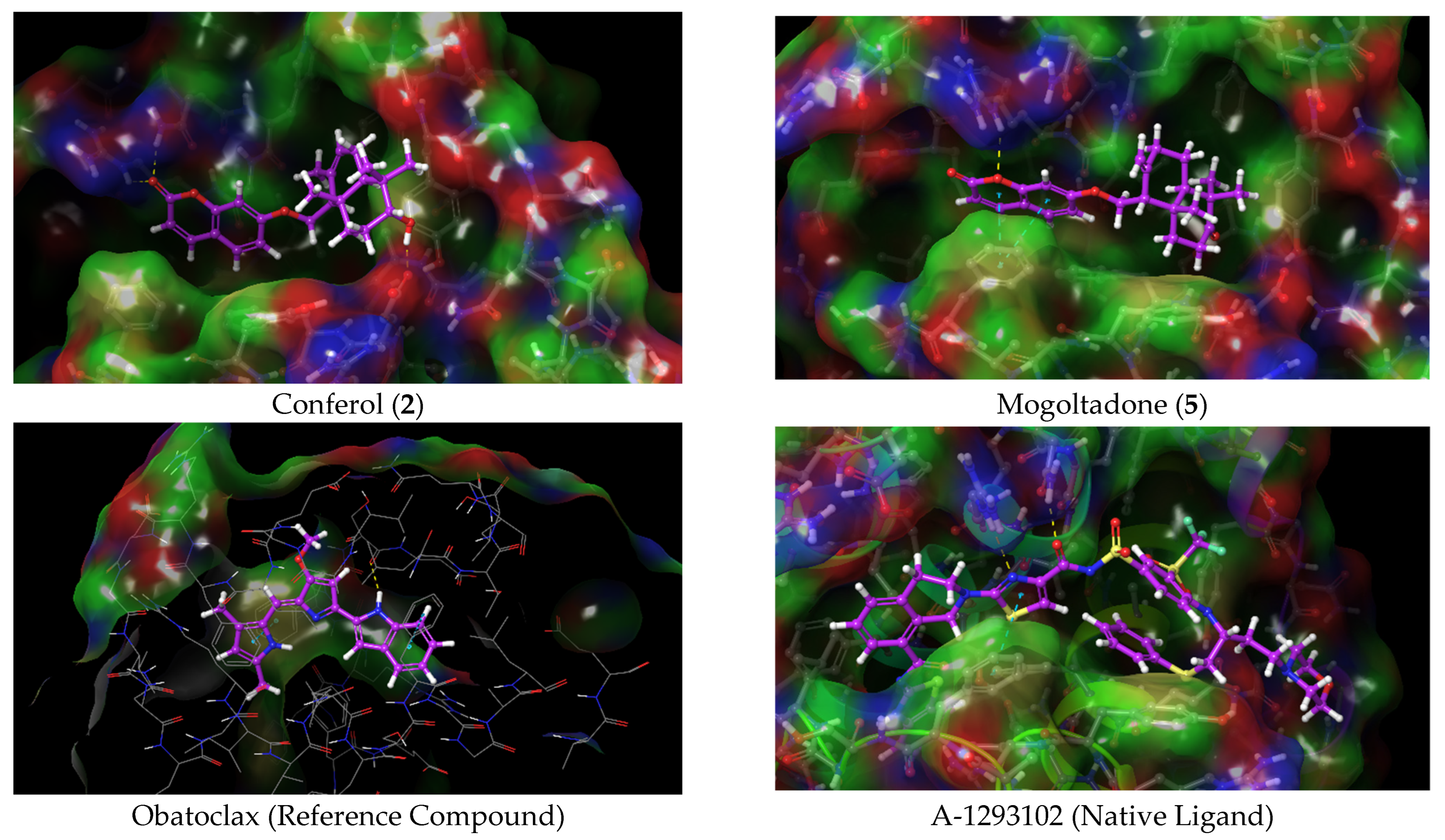 Pharmaceuticals 16 00792 g009 Pharmaceuticals 16 00792 g009