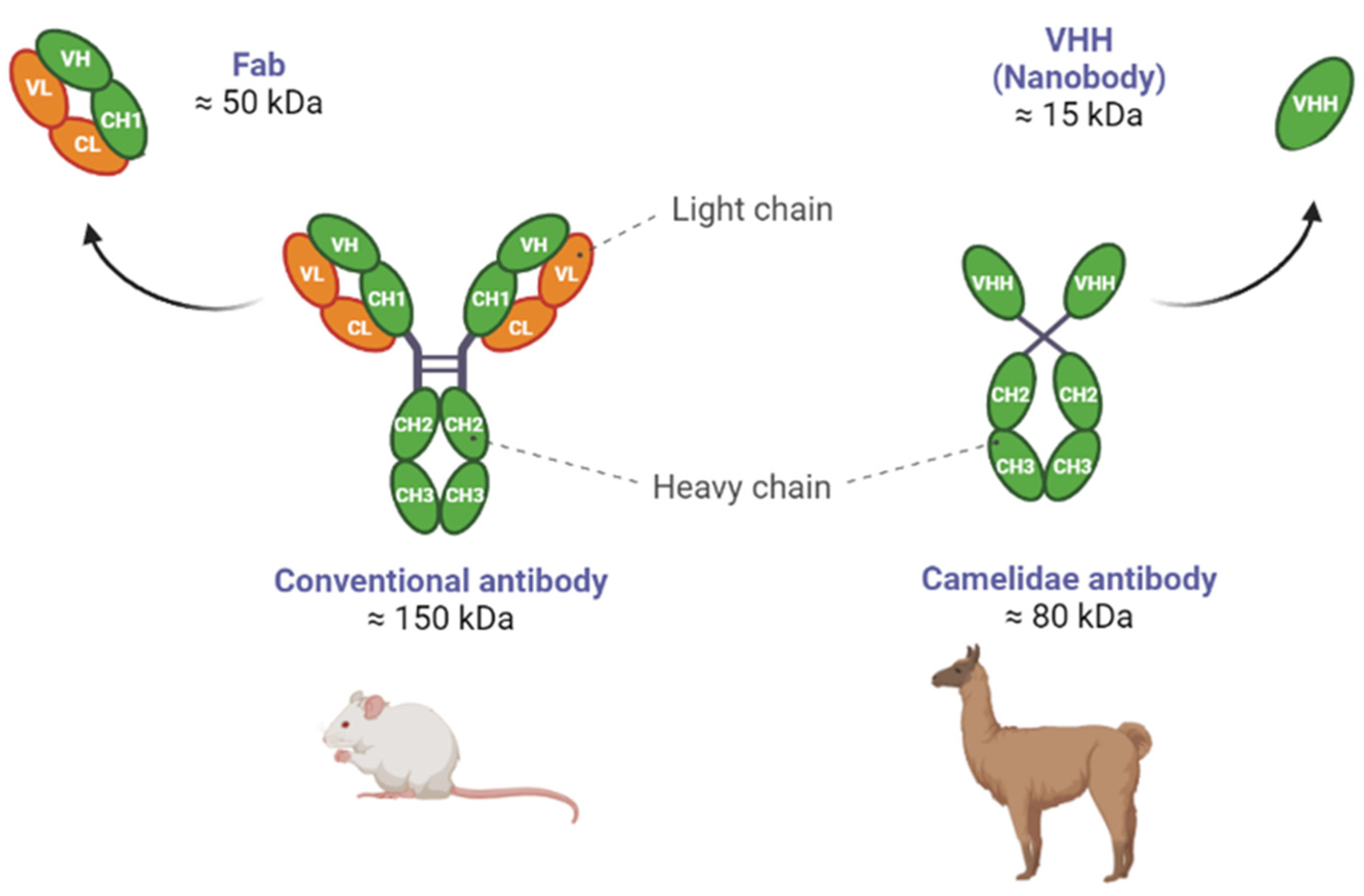 Pharmaceuticals 16 00794 g001 Pharmaceuticals 16 00794 g001