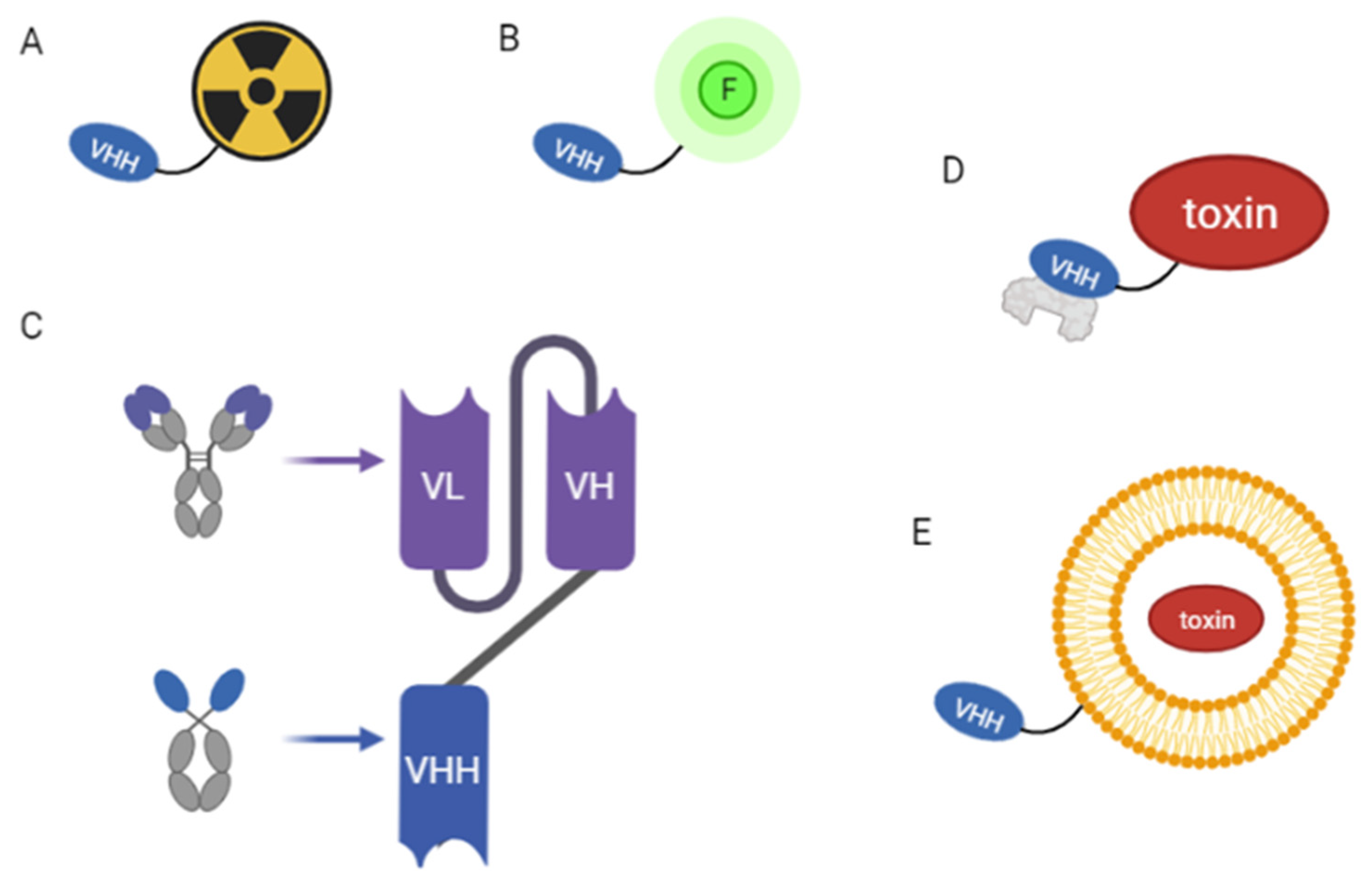 Pharmaceuticals 16 00794 g002 Pharmaceuticals 16 00794 g002