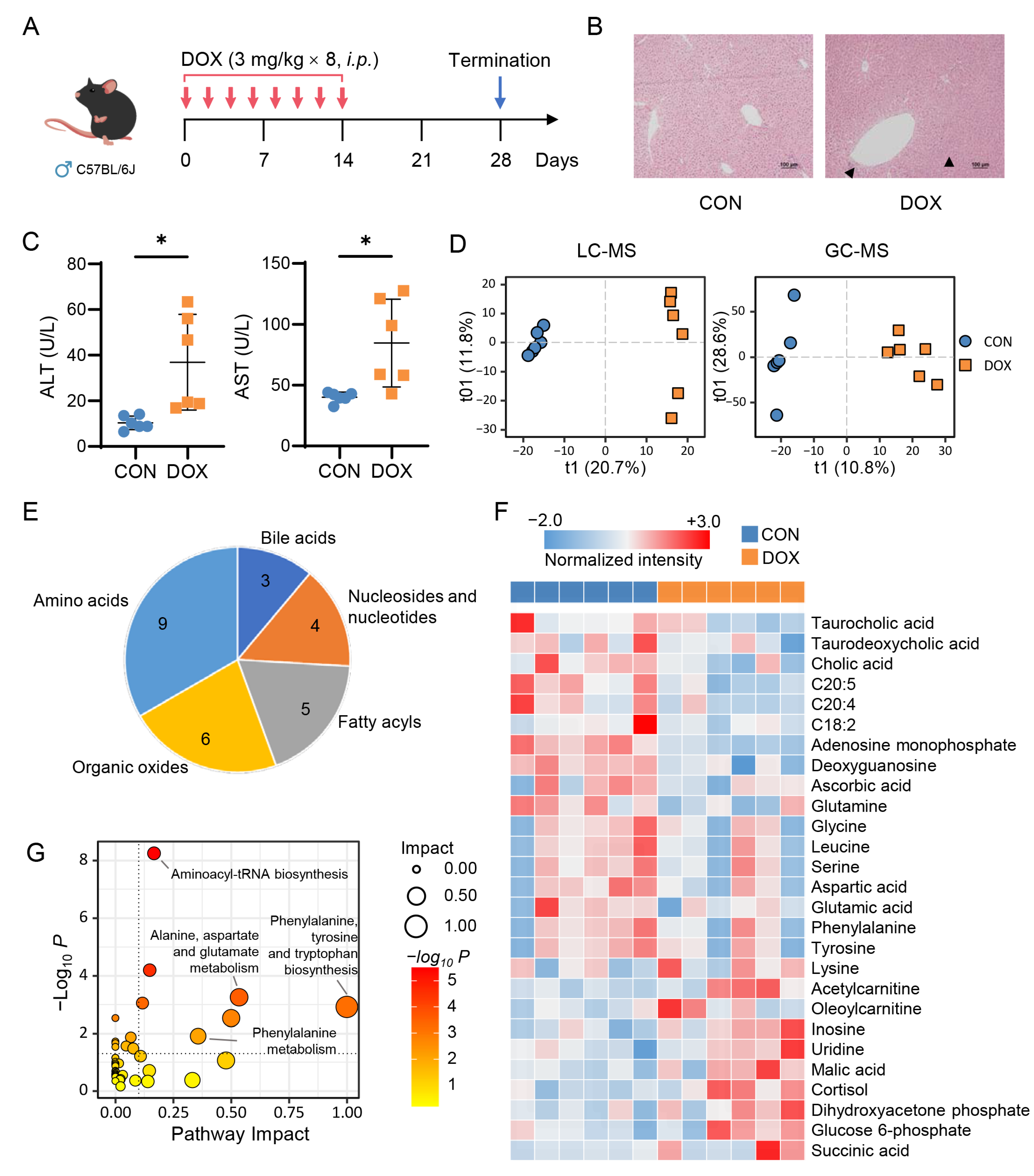 Pharmaceuticals 16 00797 g001 Pharmaceuticals 16 00797 g001