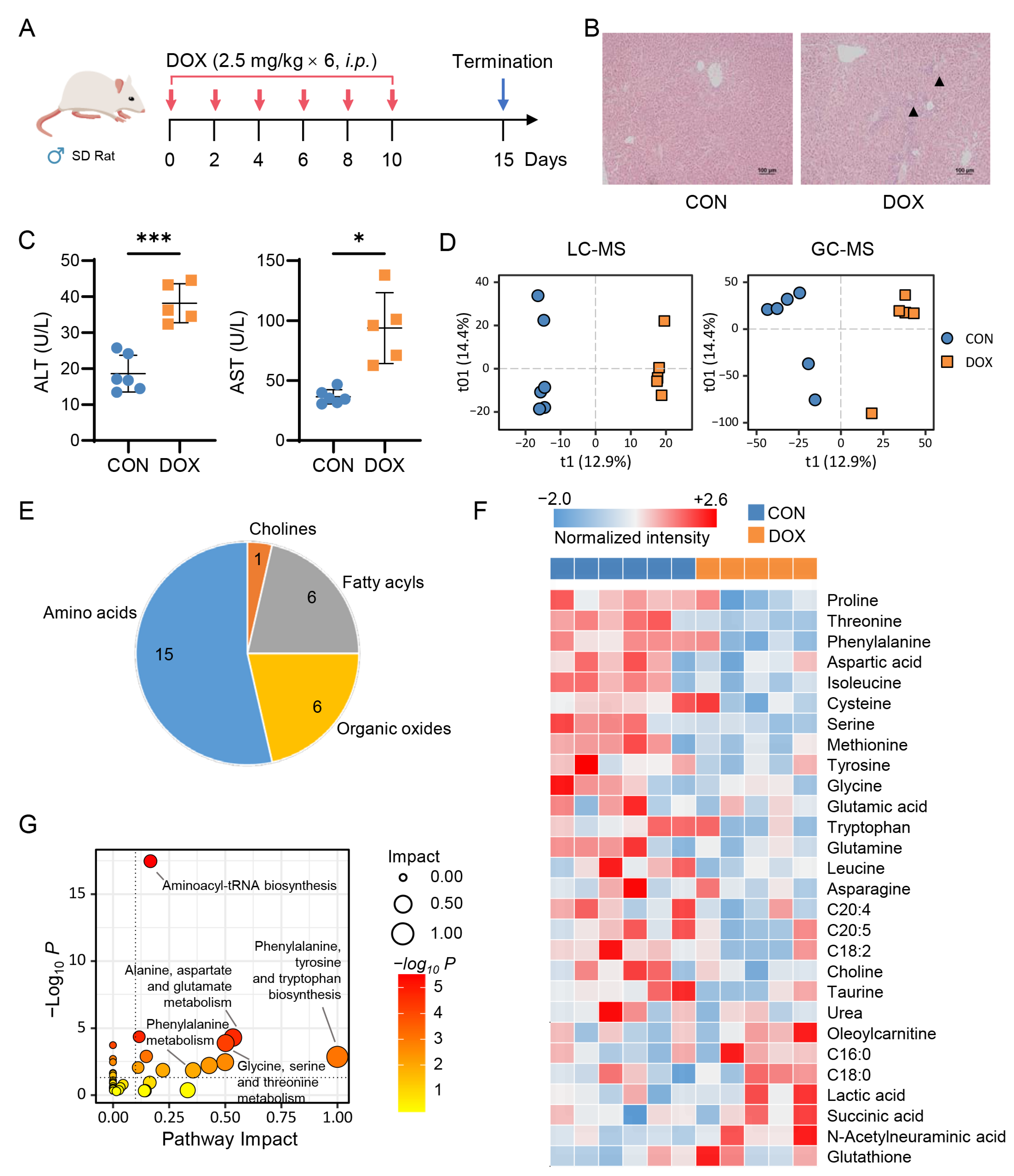 Pharmaceuticals 16 00797 g002 Pharmaceuticals 16 00797 g002