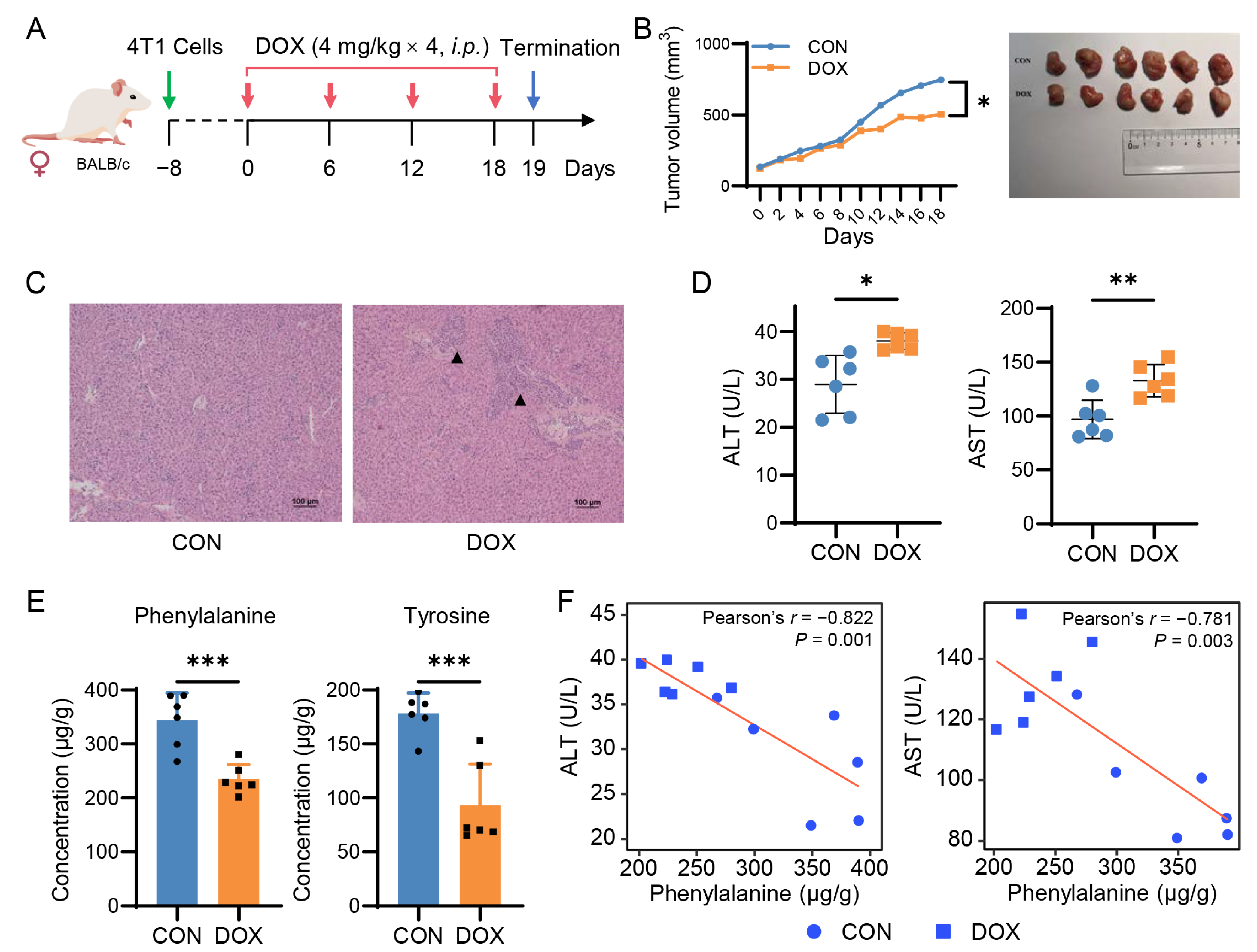Pharmaceuticals 16 00797 g004 Pharmaceuticals 16 00797 g004