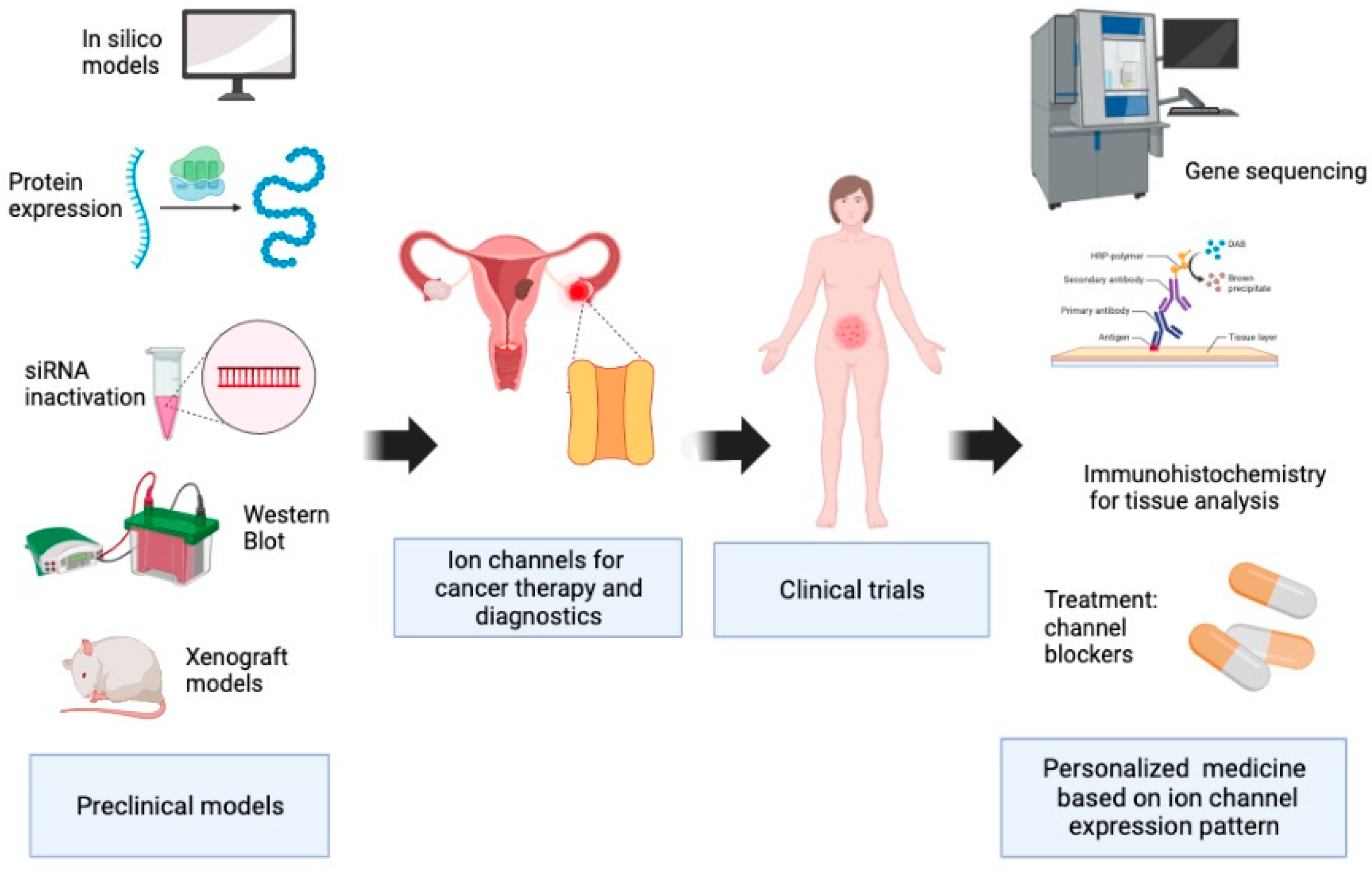 Pharmaceuticals 16 00800 g002 Pharmaceuticals 16 00800 g002