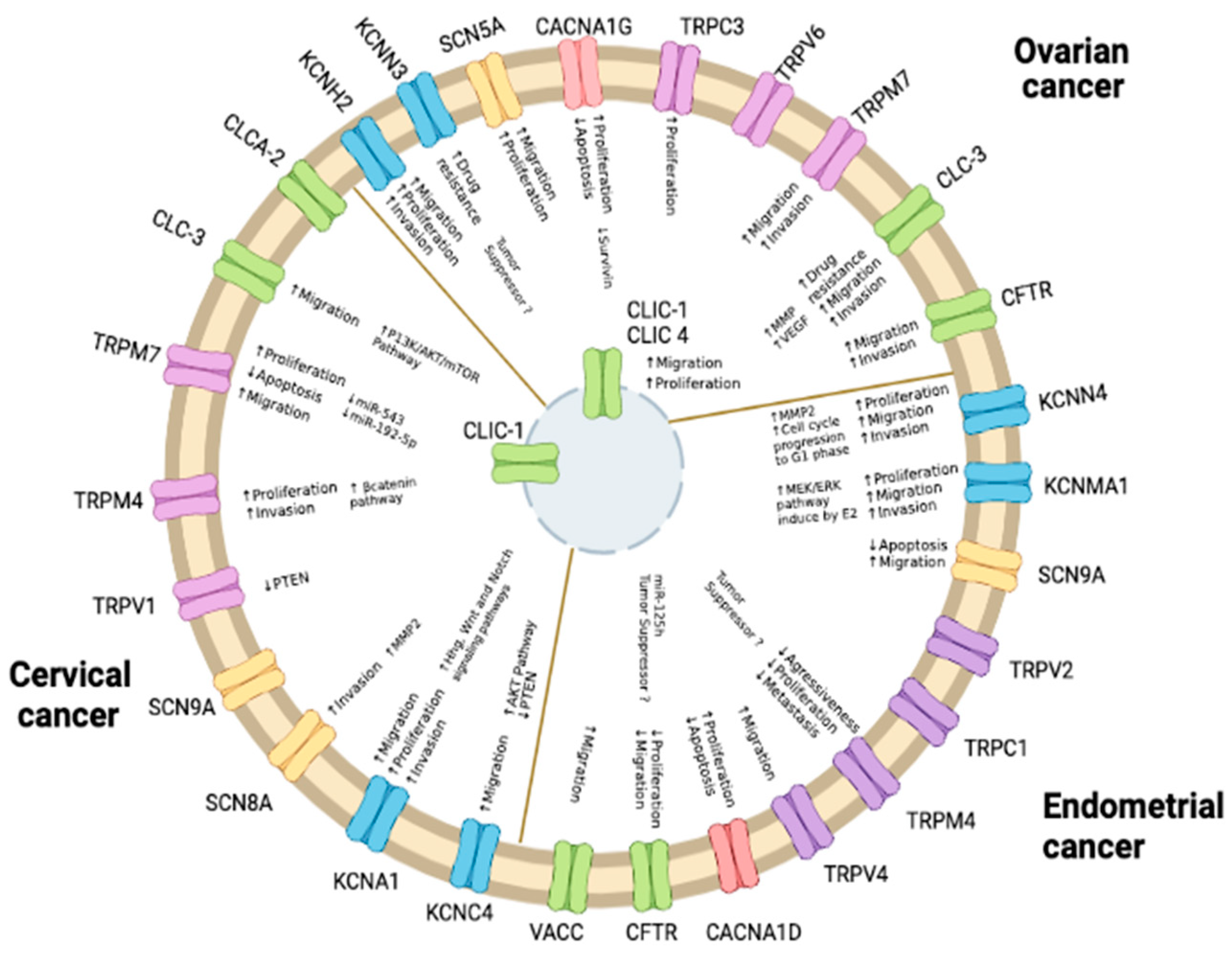 Pharmaceuticals 16 00800 g003 Pharmaceuticals 16 00800 g003