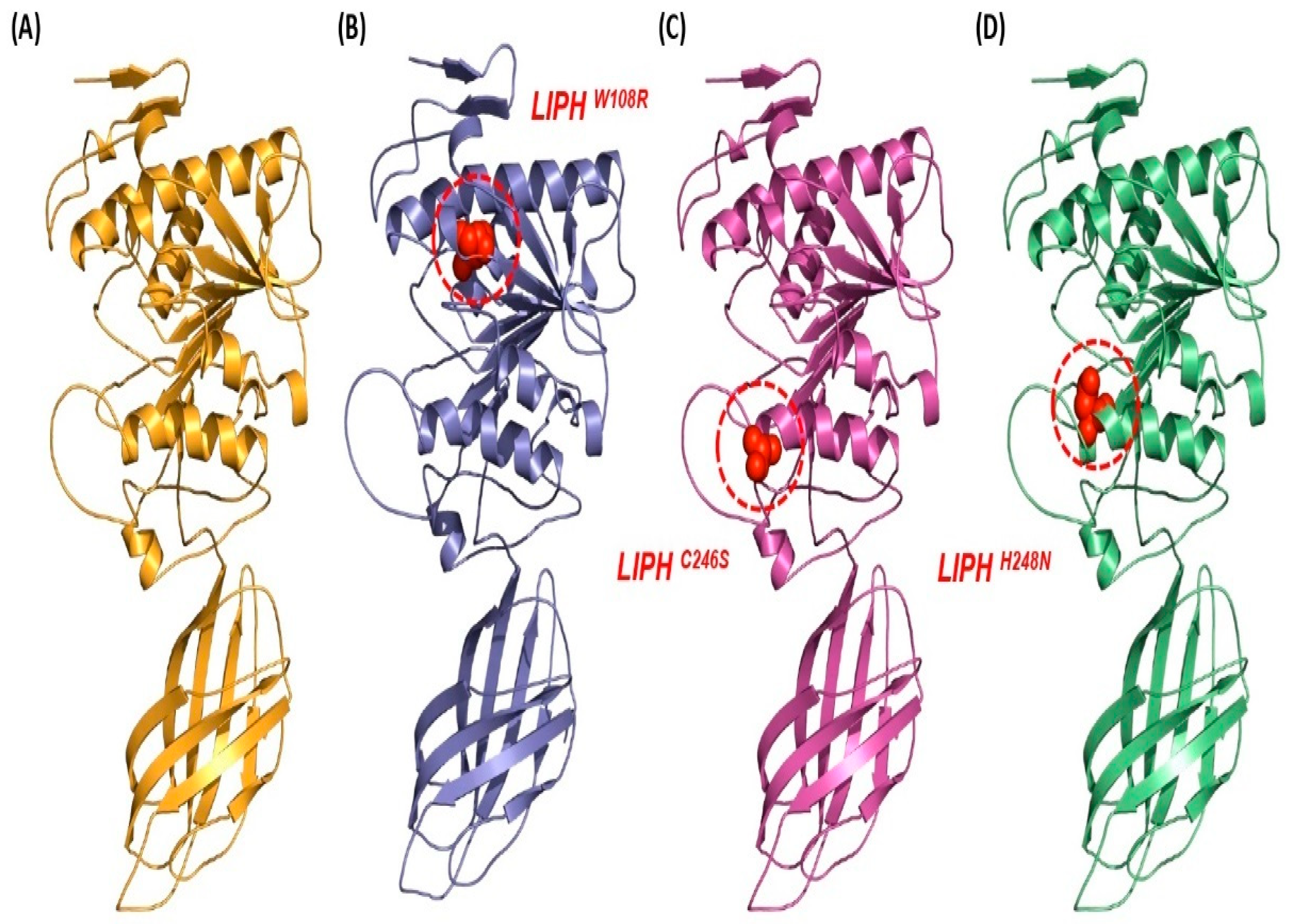 Pharmaceuticals 16 00803 g003 Pharmaceuticals 16 00803 g003