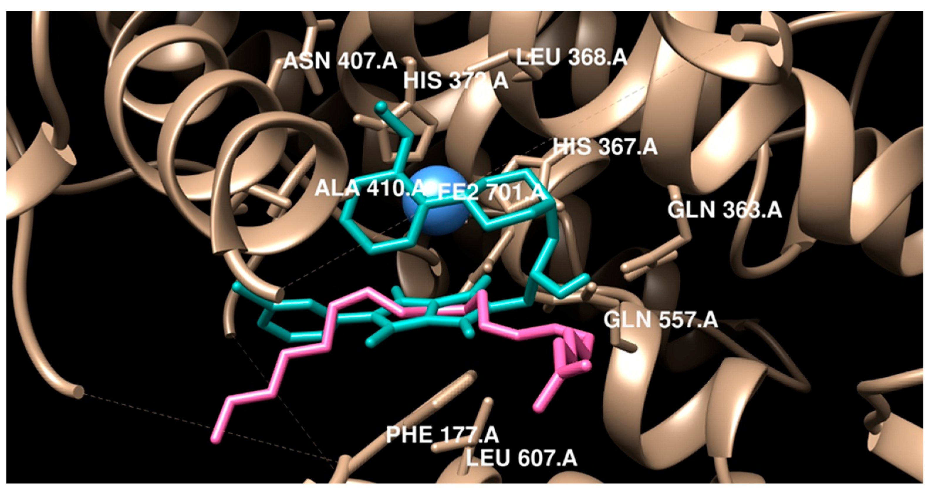 Pharmaceuticals 16 00804 g007 Pharmaceuticals 16 00804 g007