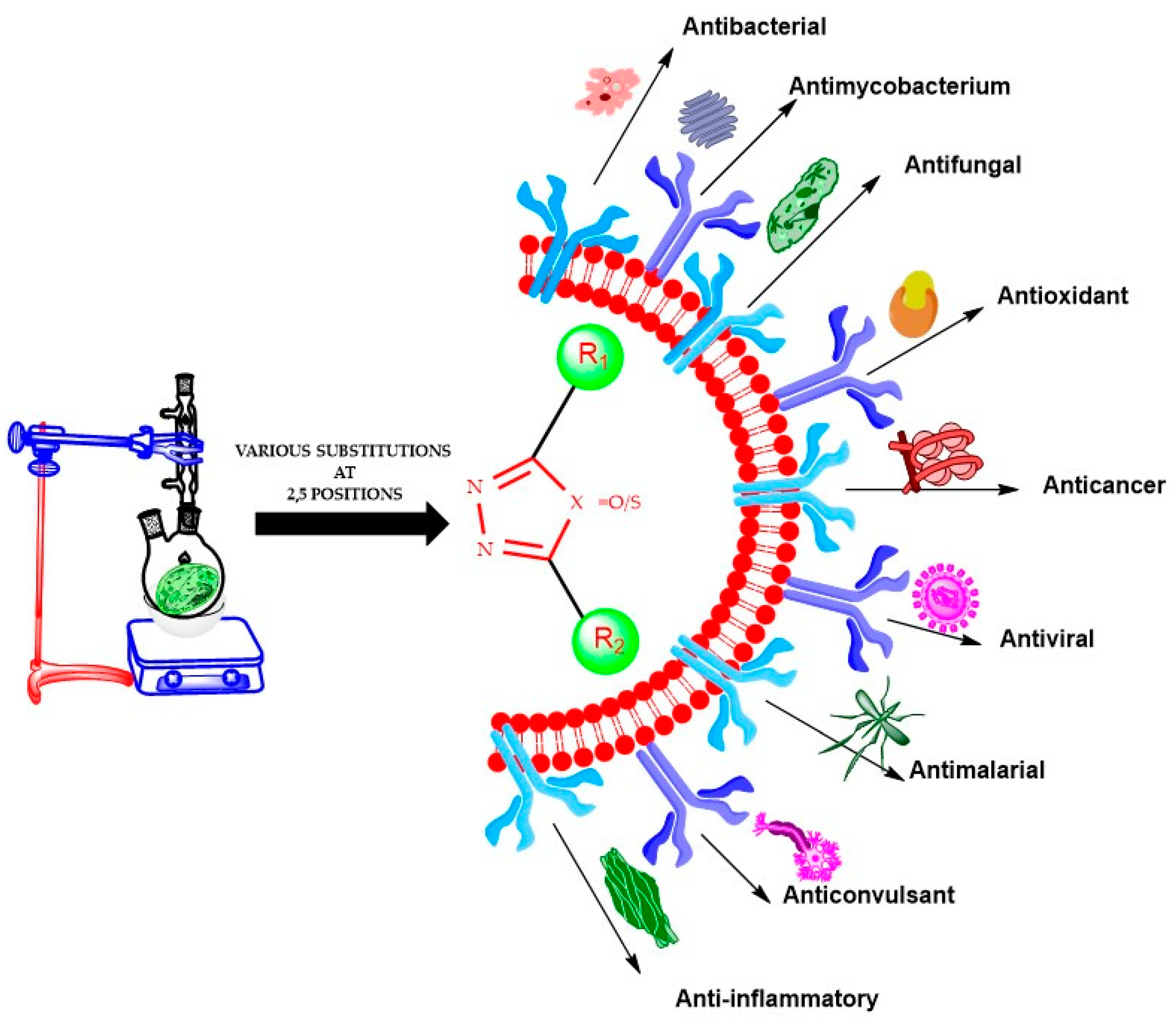 Pharmaceuticals 16 00805 g001