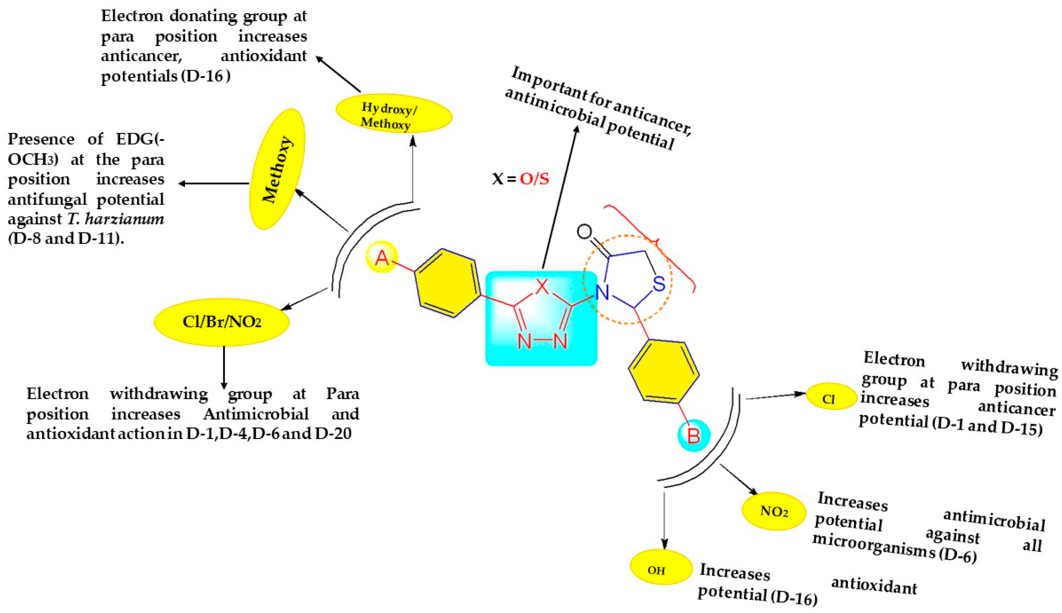 Pharmaceuticals 16 00805 g005