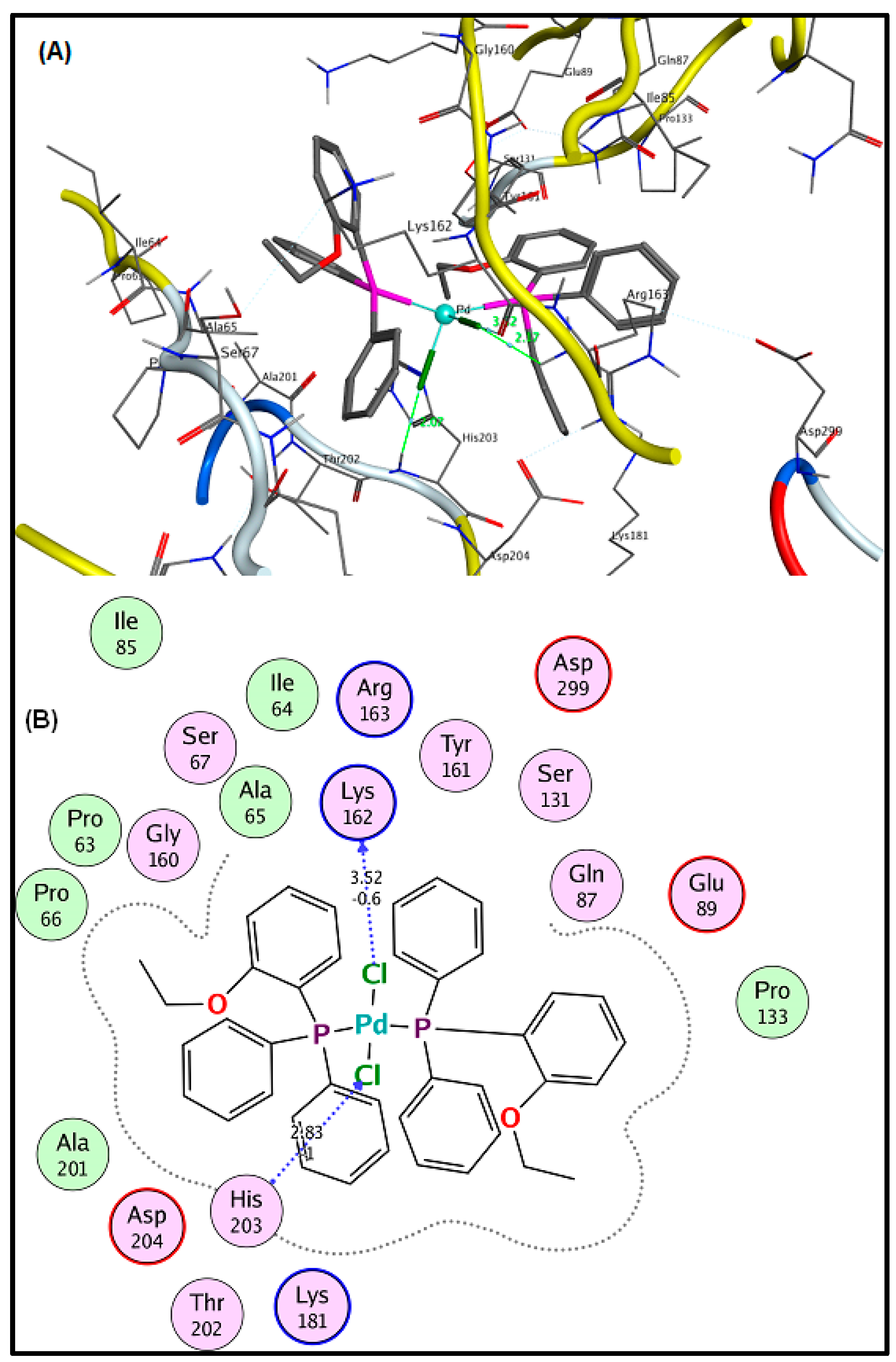 Pharmaceuticals 16 00806 g002 Pharmaceuticals 16 00806 g002