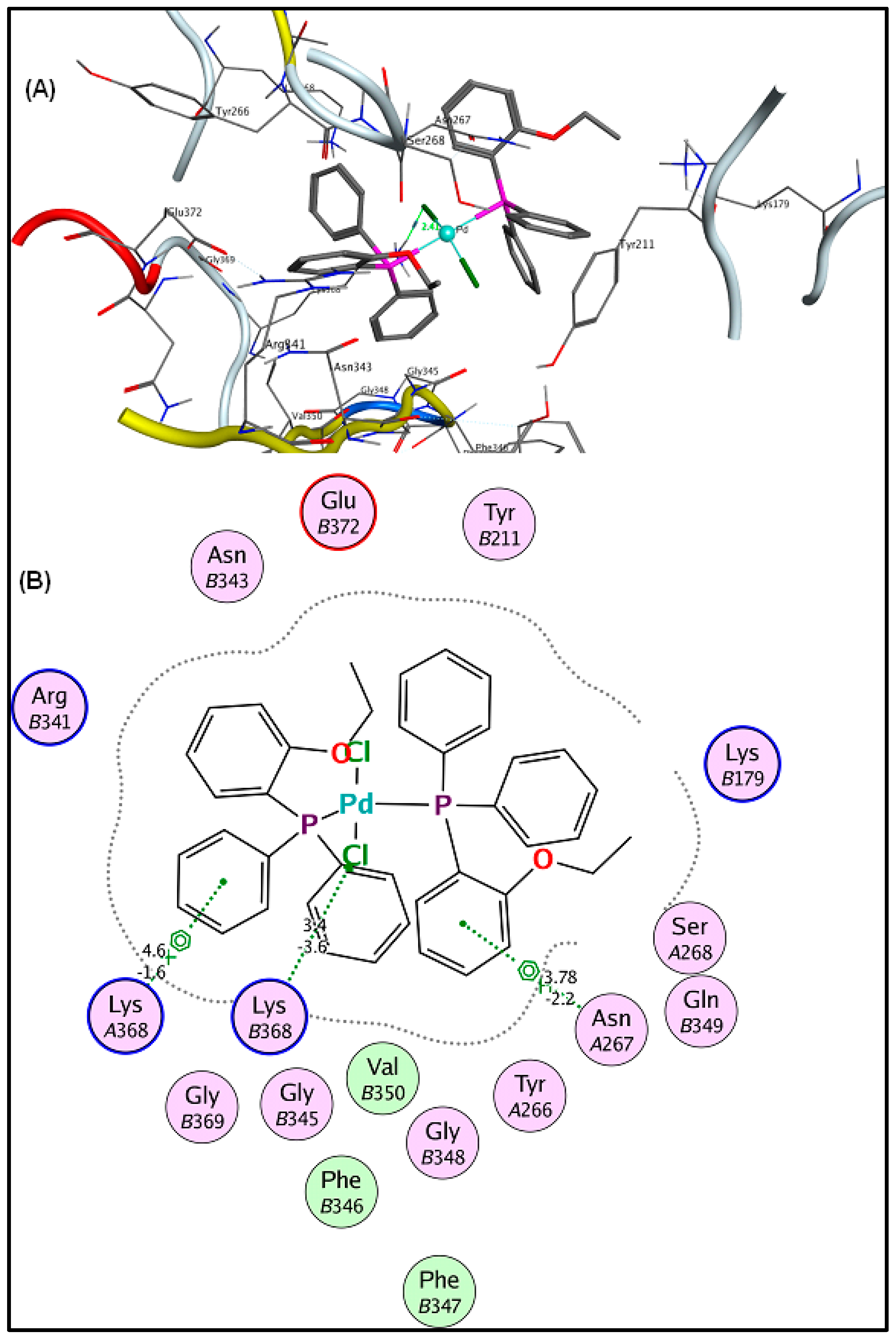 Pharmaceuticals 16 00806 g004 Pharmaceuticals 16 00806 g004