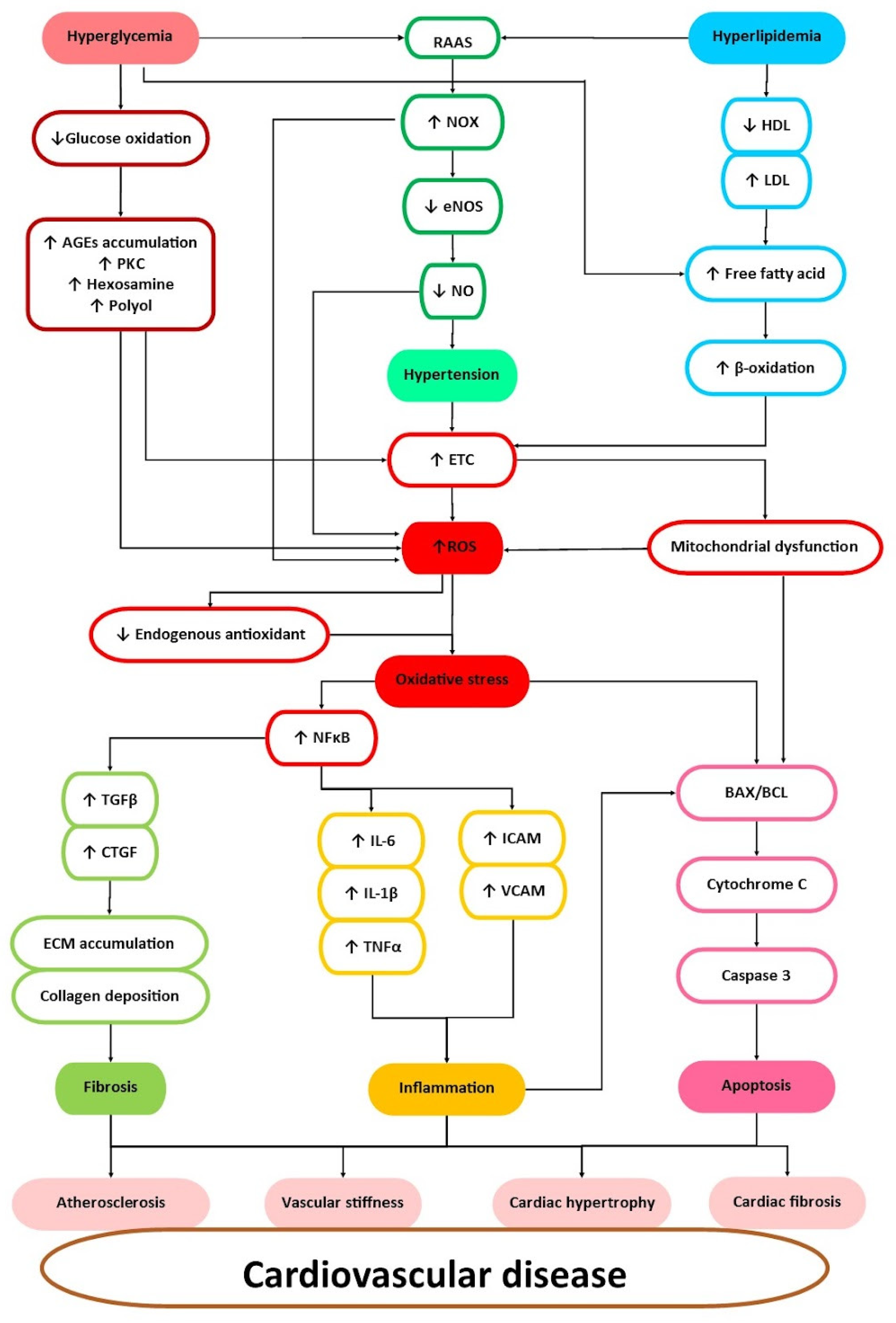 Pharmaceuticals 16 00807 g003 Pharmaceuticals 16 00807 g003