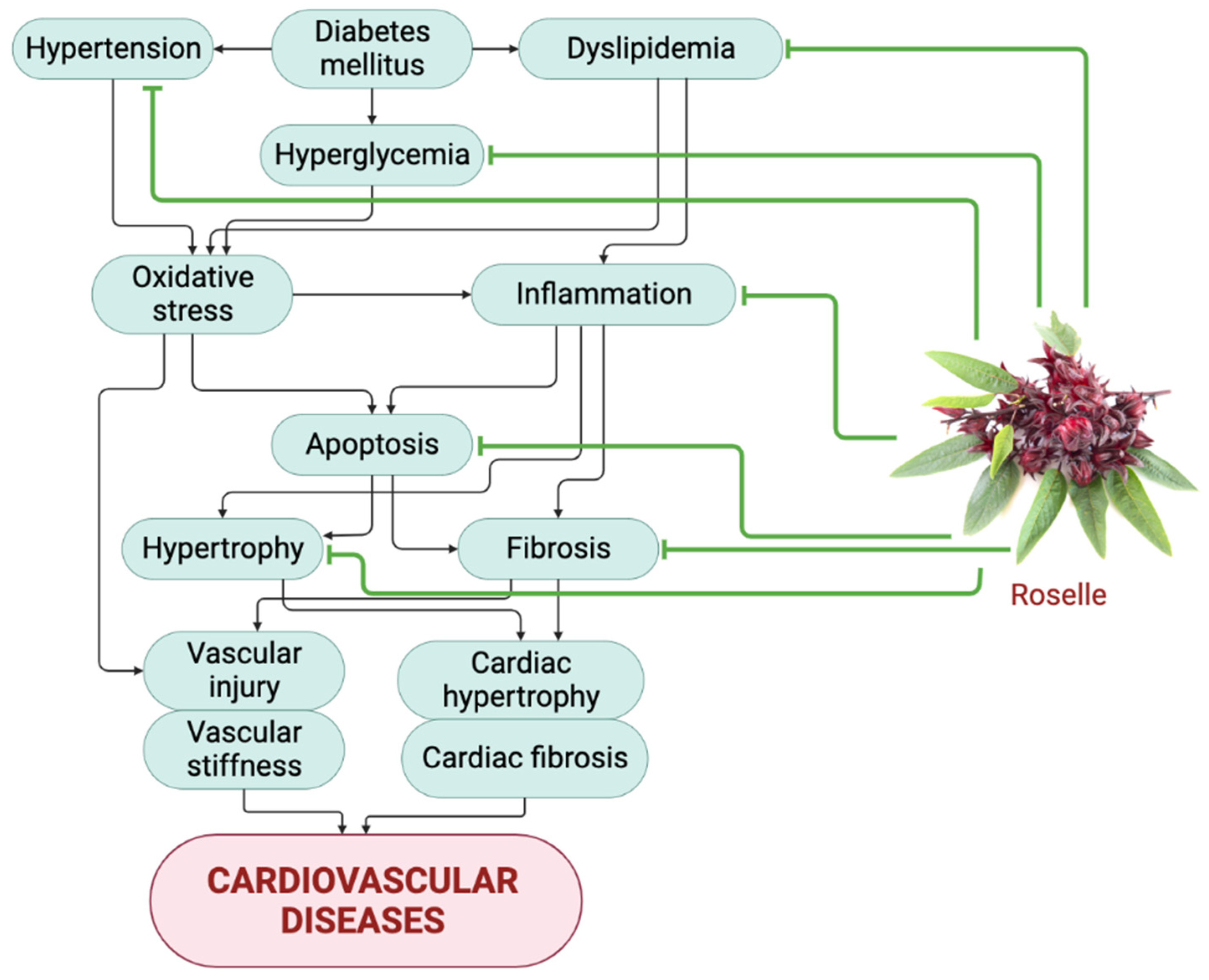 Pharmaceuticals 16 00807 g004 Pharmaceuticals 16 00807 g004