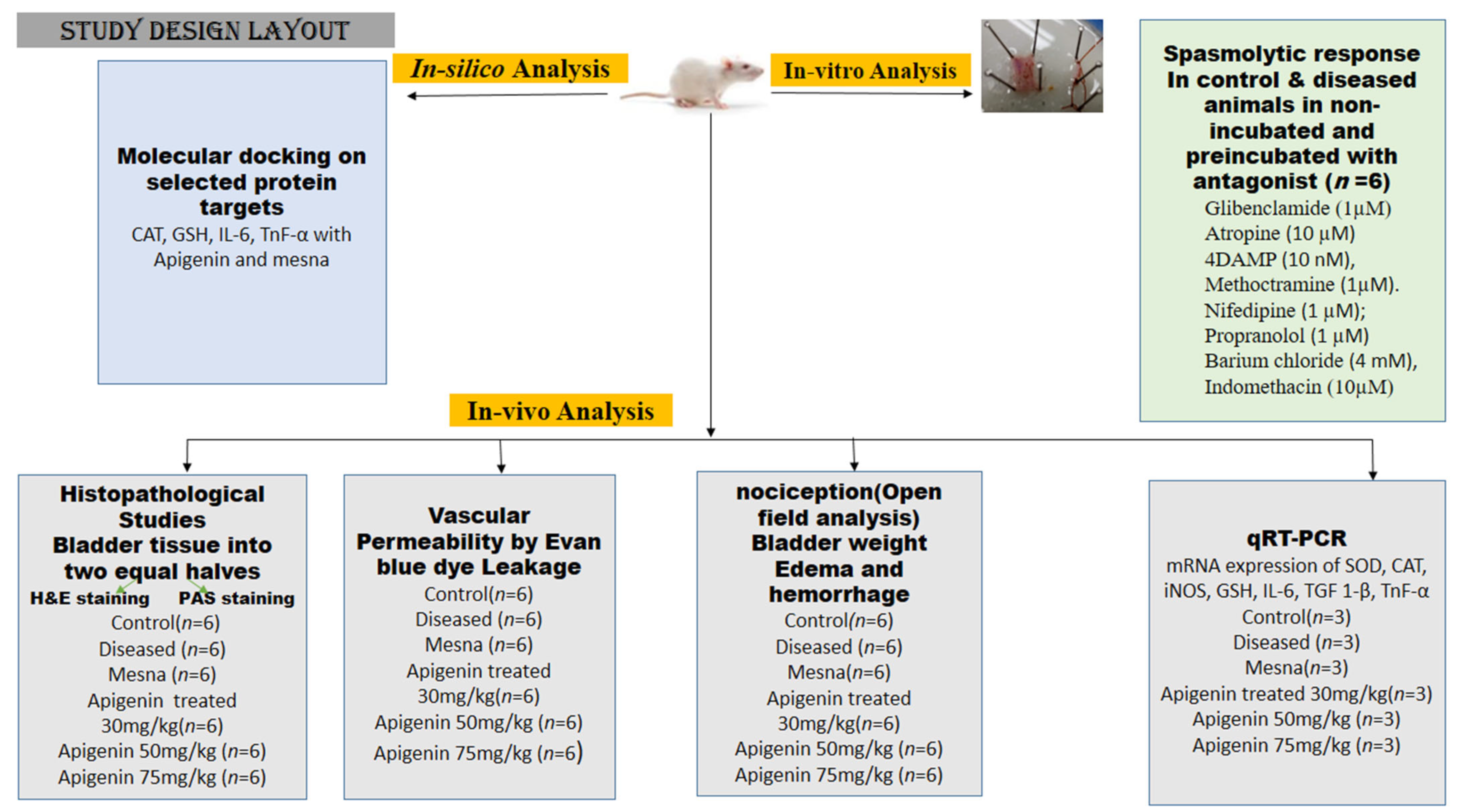 Pharmaceuticals 16 00811 g008 Pharmaceuticals 16 00811 g008
