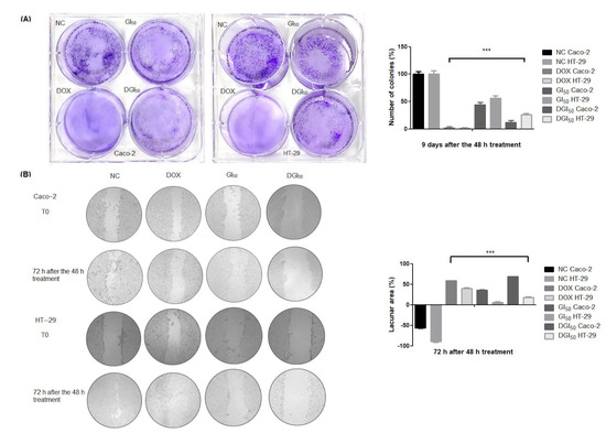 Selenylated Imidazo [1,2-a]pyridine Induces Apoptosis and