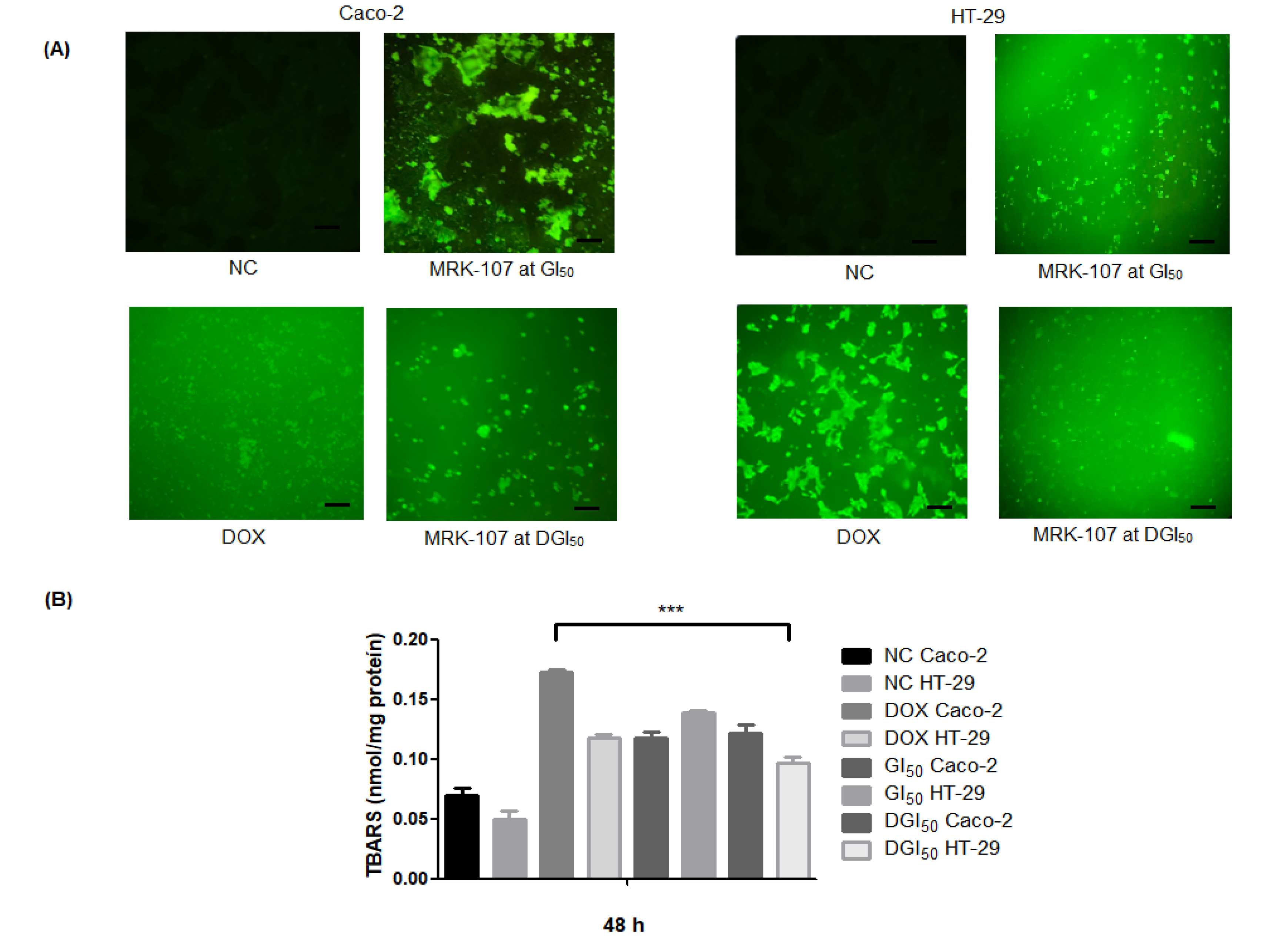 Pharmaceuticals 16 00814 g003 Pharmaceuticals 16 00814 g003
