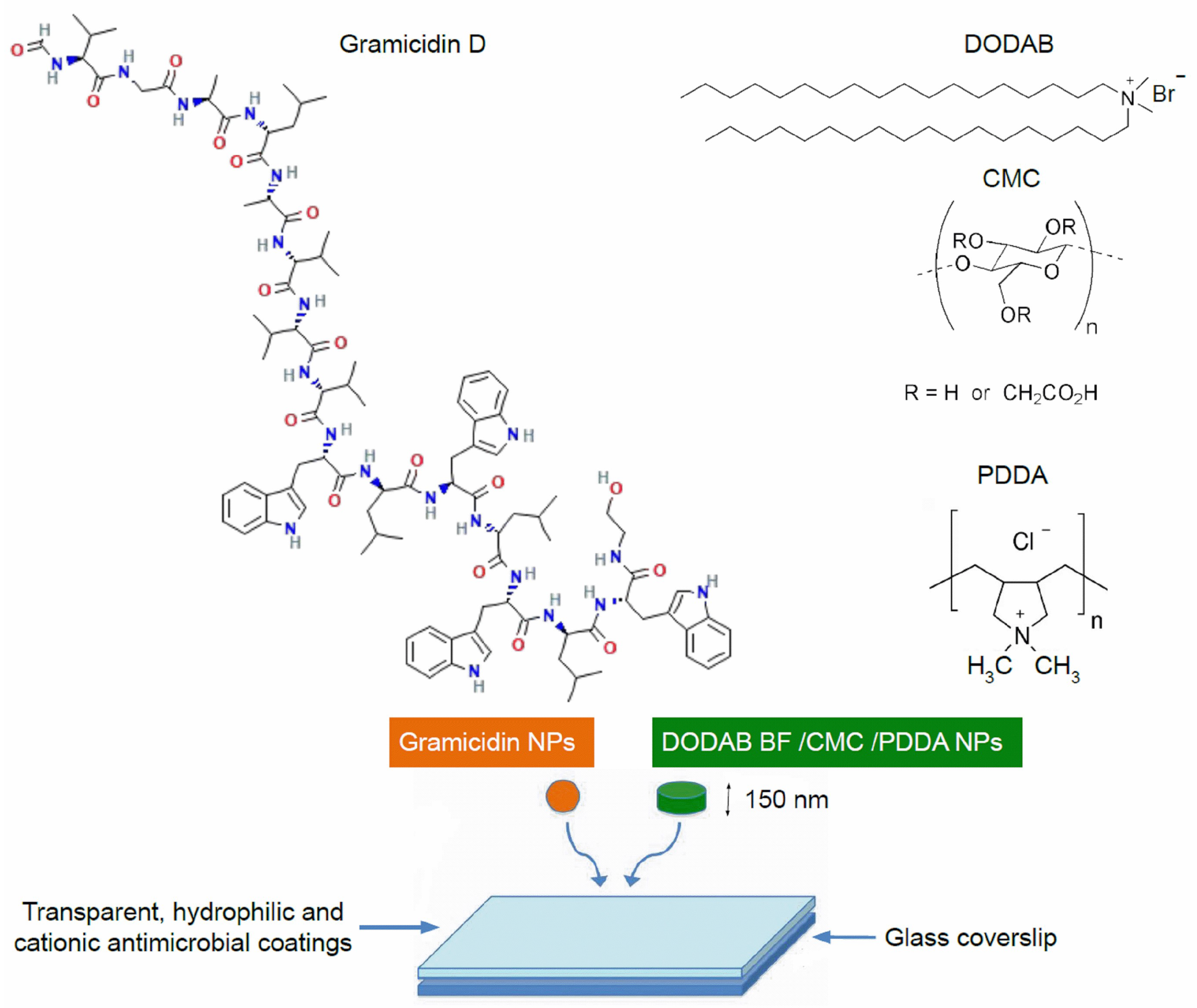 Pharmaceuticals 16 00816 g001 Pharmaceuticals 16 00816 g001