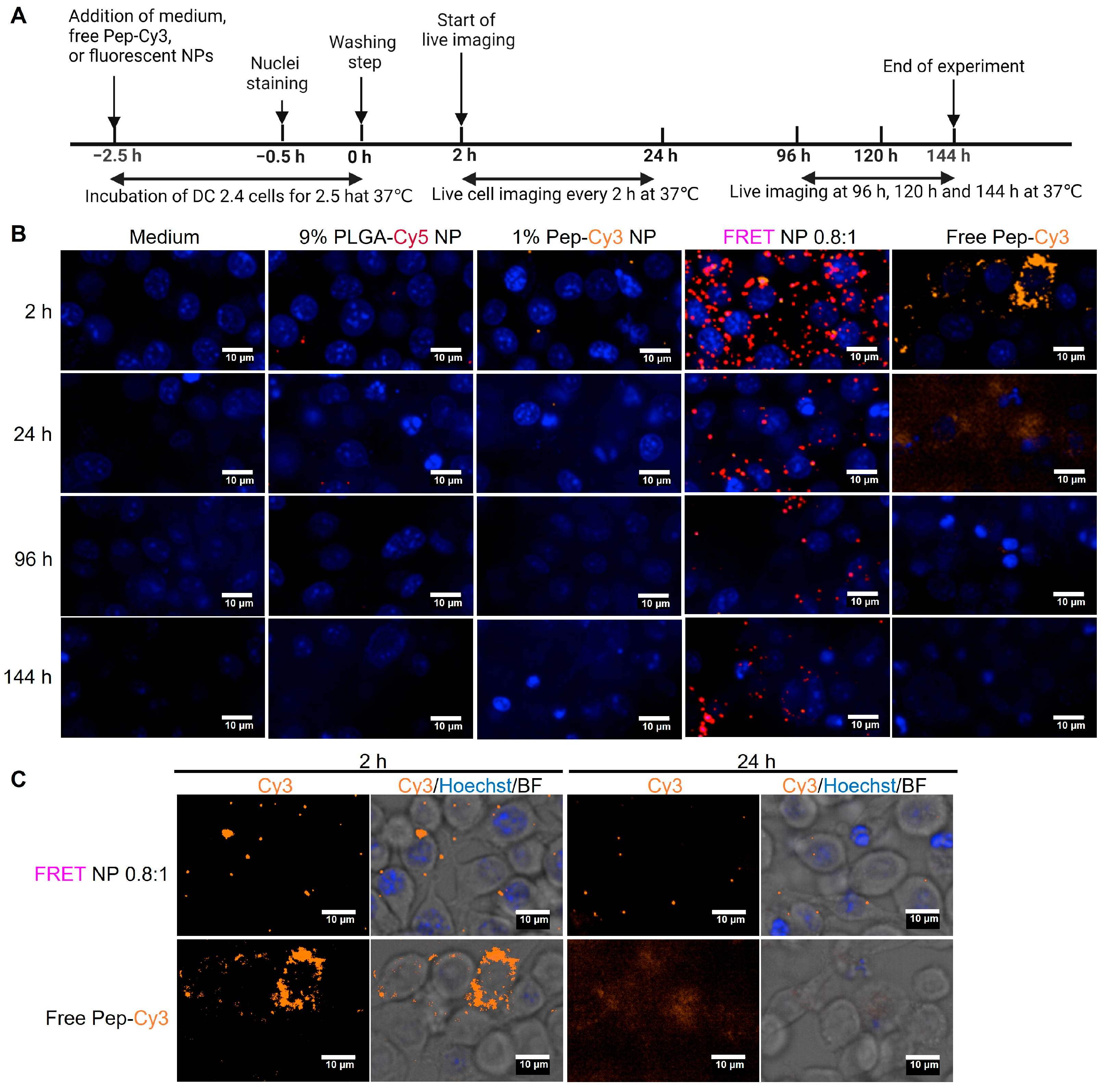Pharmaceuticals 16 00818 g008 Pharmaceuticals 16 00818 g008