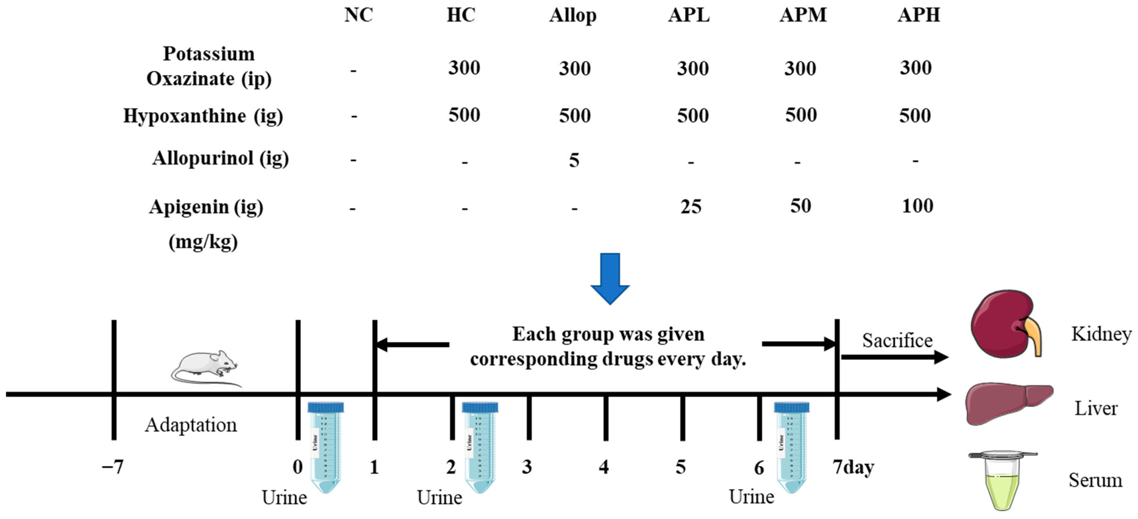 Pharmaceuticals 16 00819 g002 550