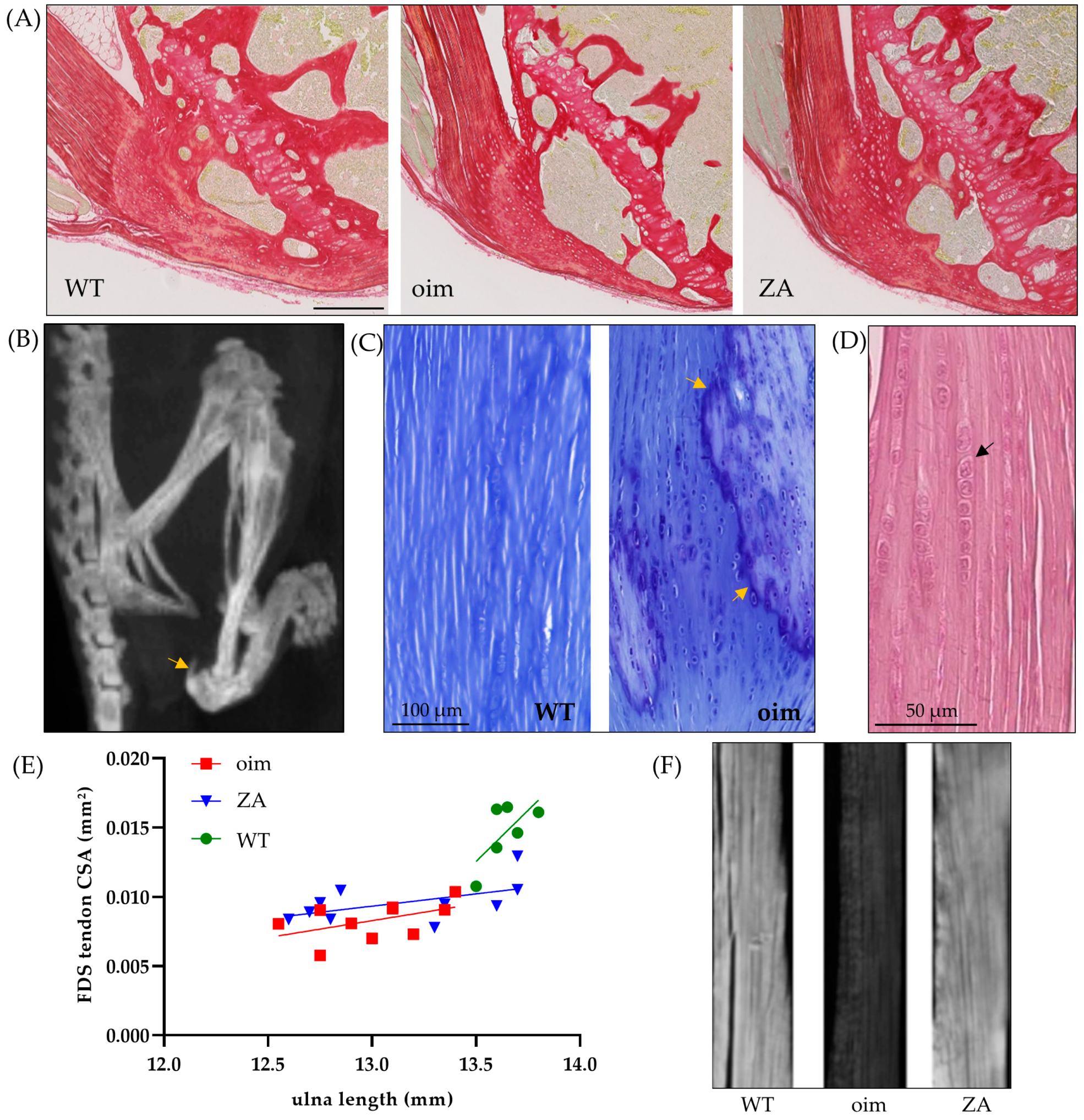 Pharmaceuticals 16 00832 g001 Pharmaceuticals 16 00832 g001