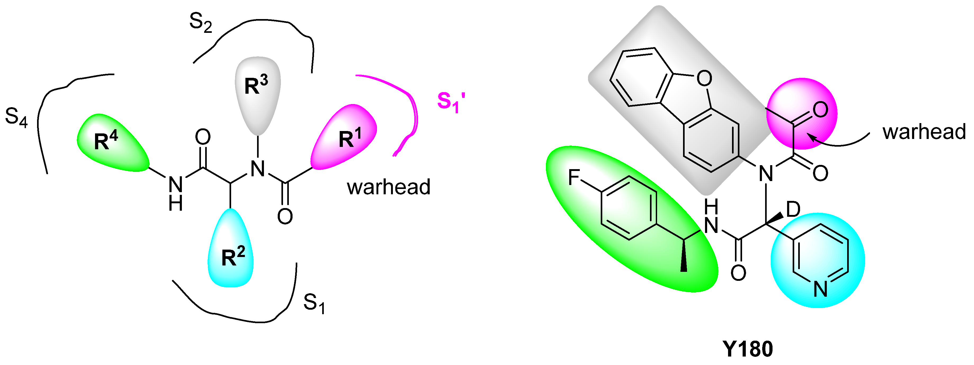 Pharmaceuticals 16 00834 g007 Pharmaceuticals 16 00834 g007