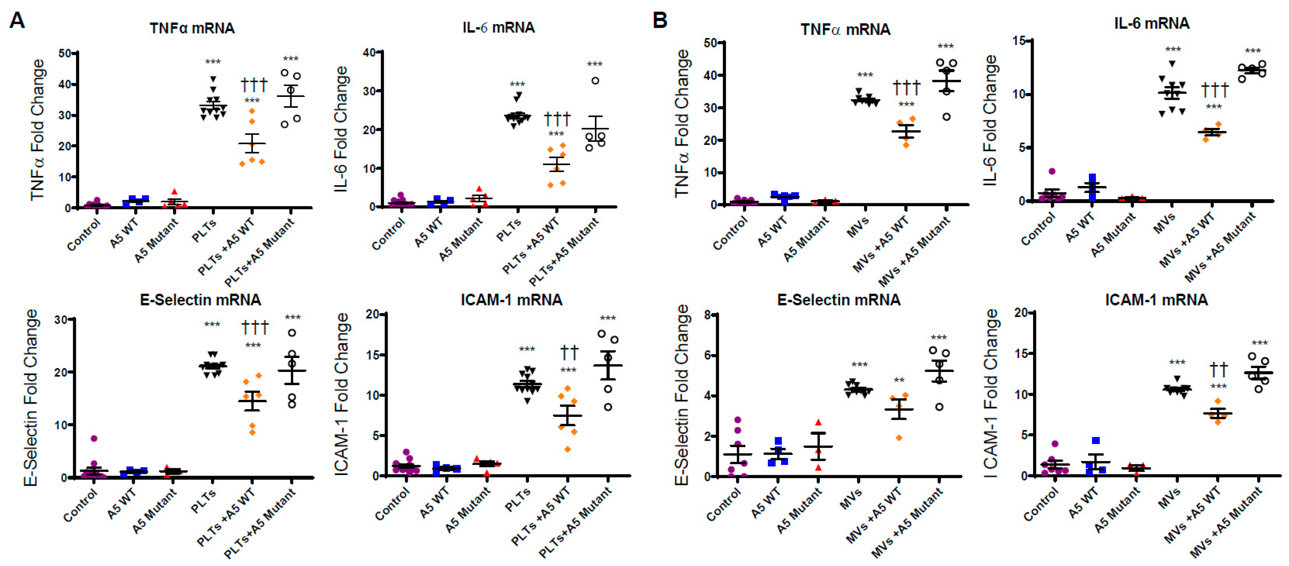 Pharmaceuticals 16 00837 g004 Pharmaceuticals 16 00837 g004