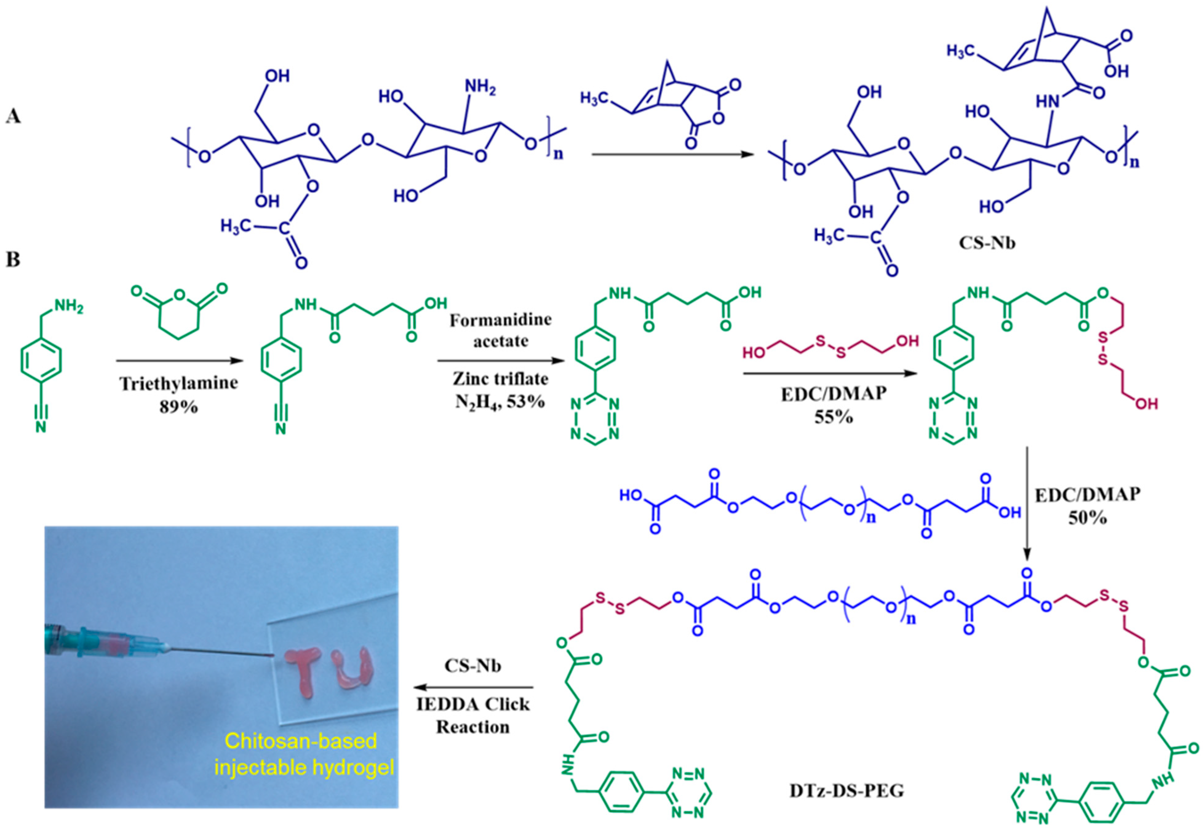 Pharmaceuticals 16 00841 g001
