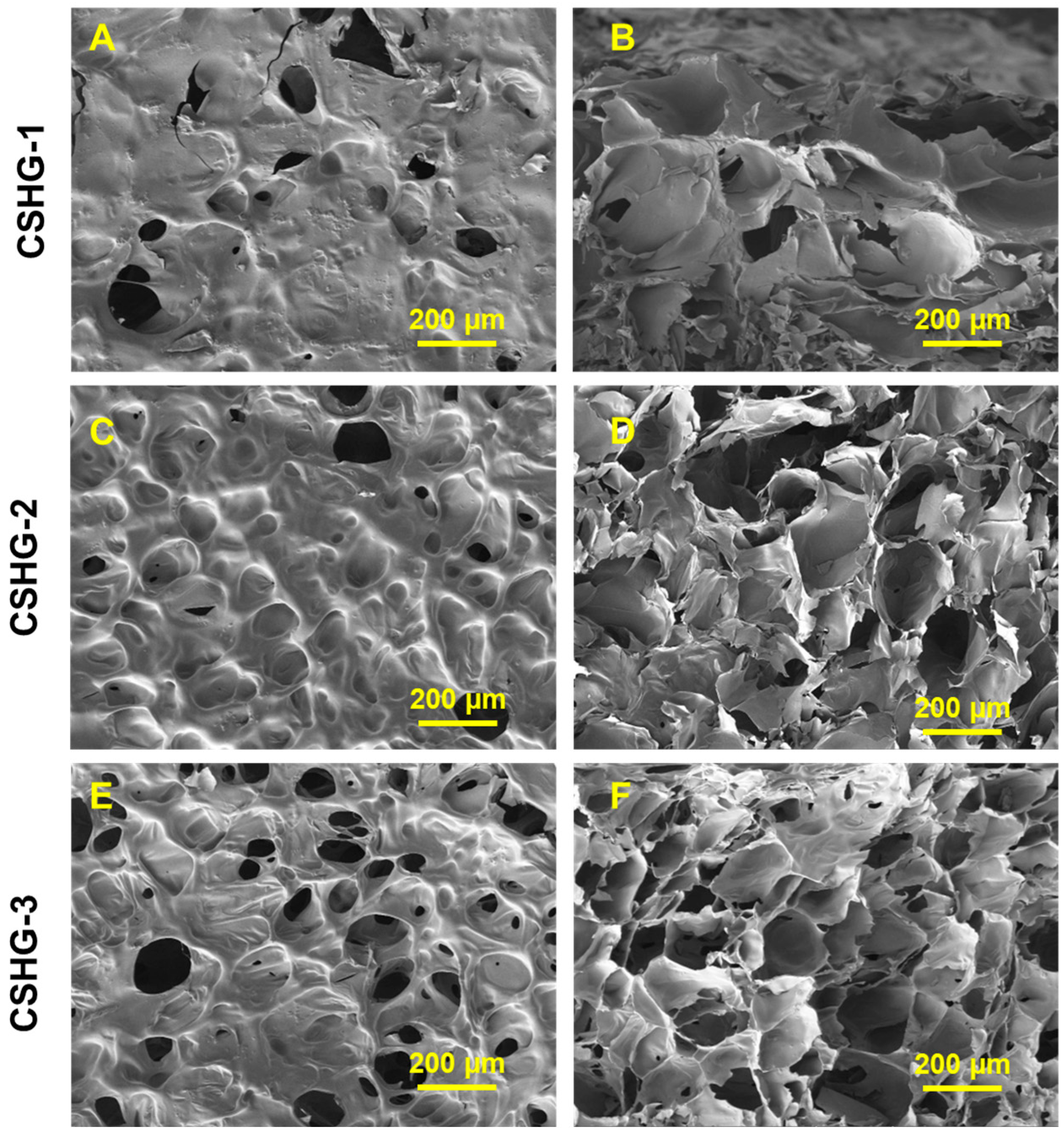 Pharmaceuticals 16 00841 g006