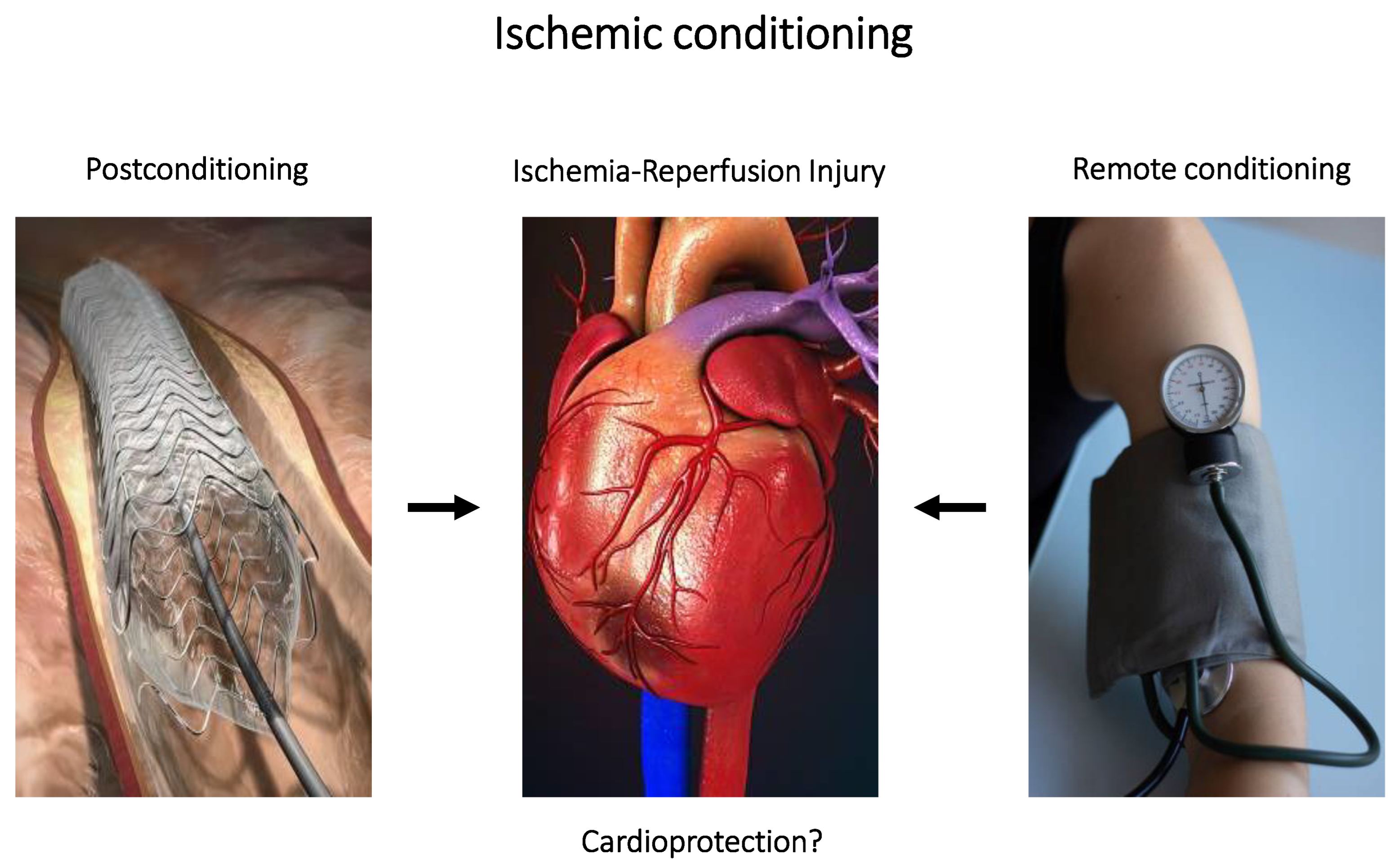 Pharmaceuticals 16 00844 g002 Pharmaceuticals 16 00844 g002
