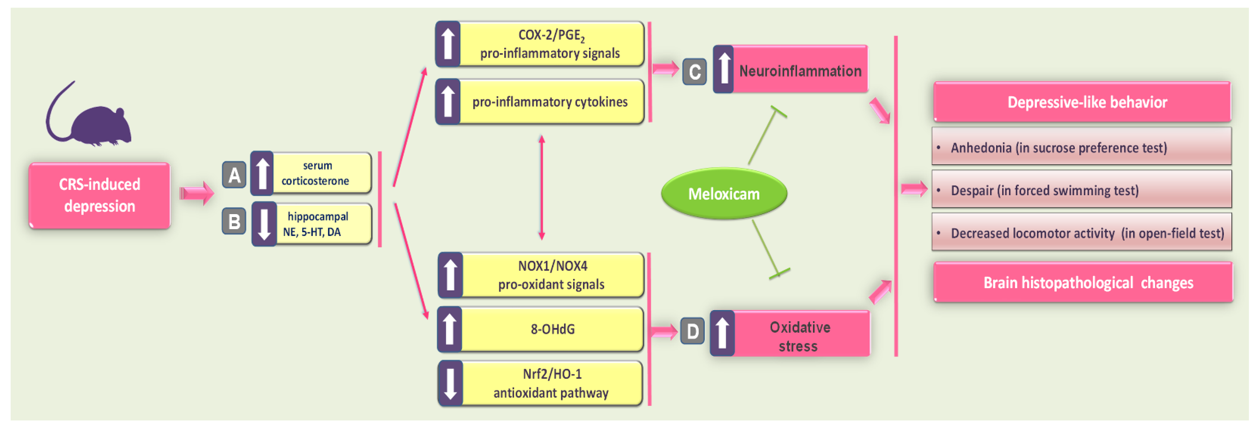 Pharmaceuticals 16 00848 g008 Pharmaceuticals 16 00848 g008