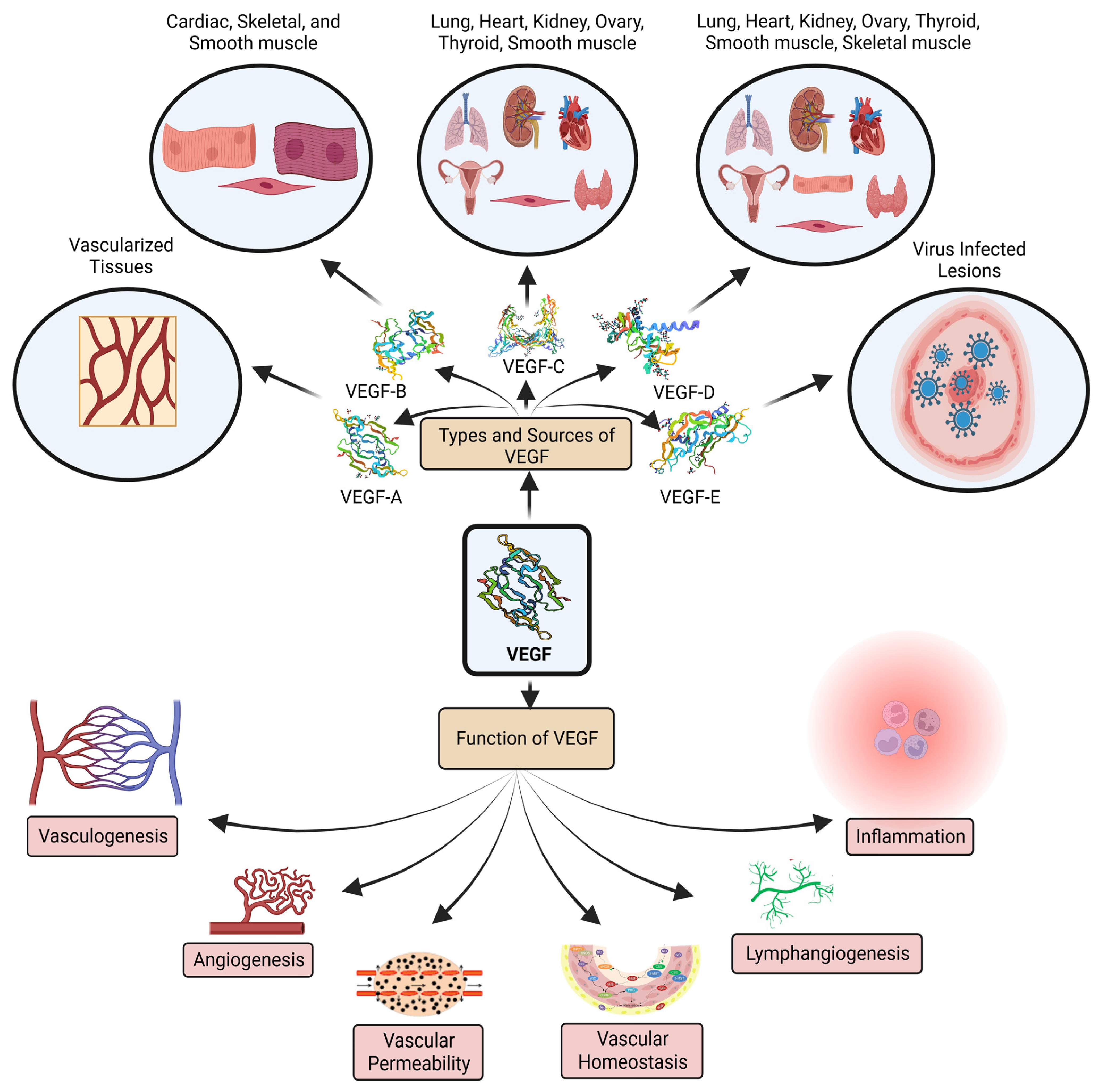 Pharmaceuticals 16 00849 g001 Pharmaceuticals 16 00849 g001