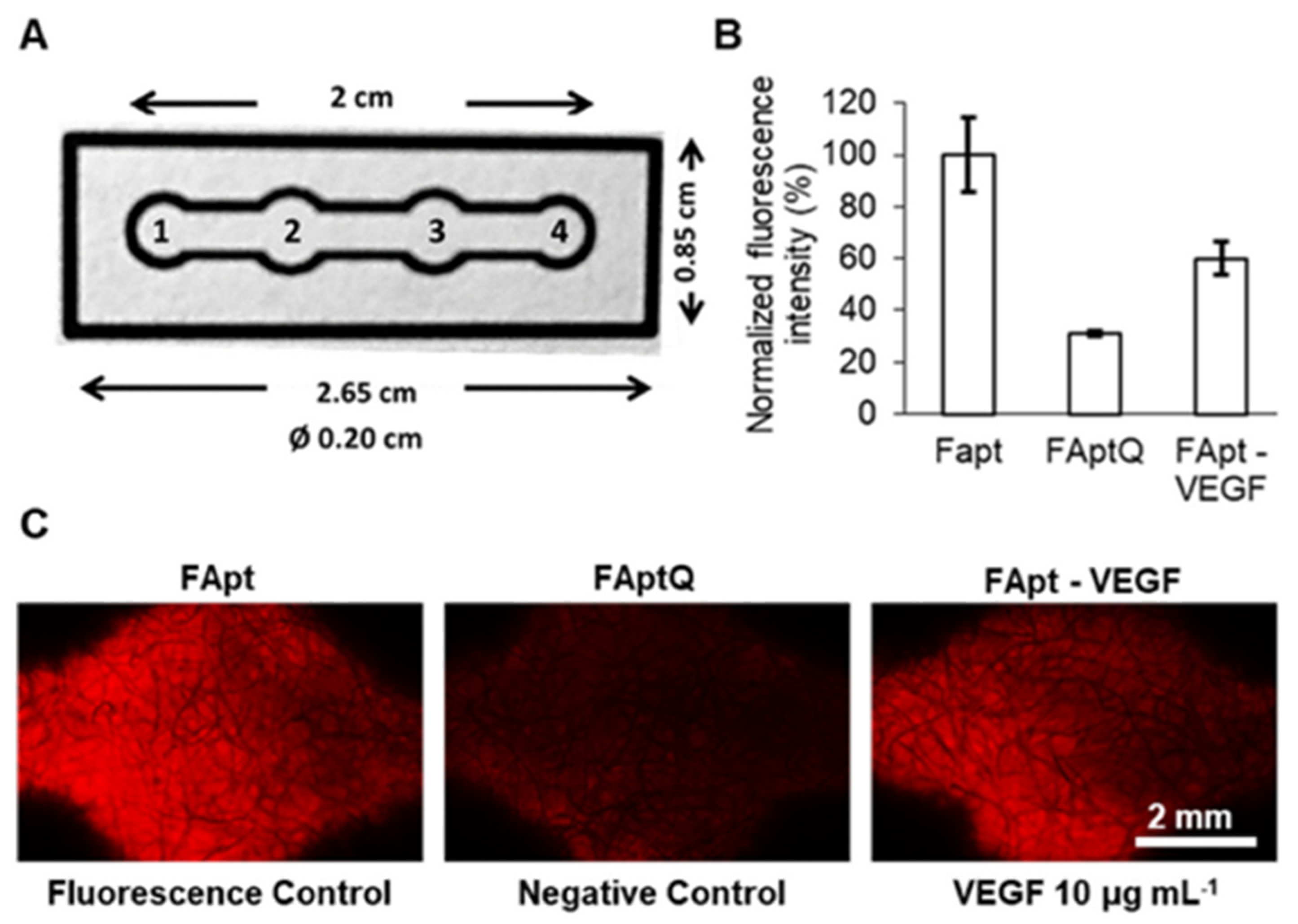 Pharmaceuticals 16 00849 g004 Pharmaceuticals 16 00849 g004