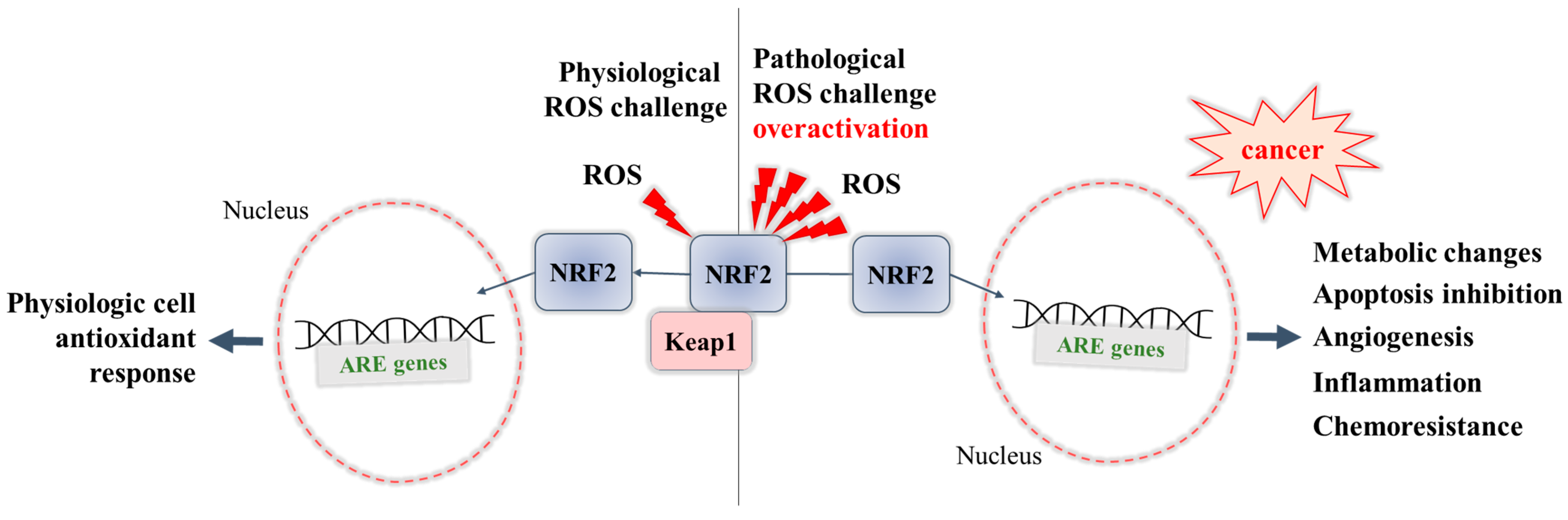 Pharmaceuticals 16 00850 g001 Pharmaceuticals 16 00850 g001