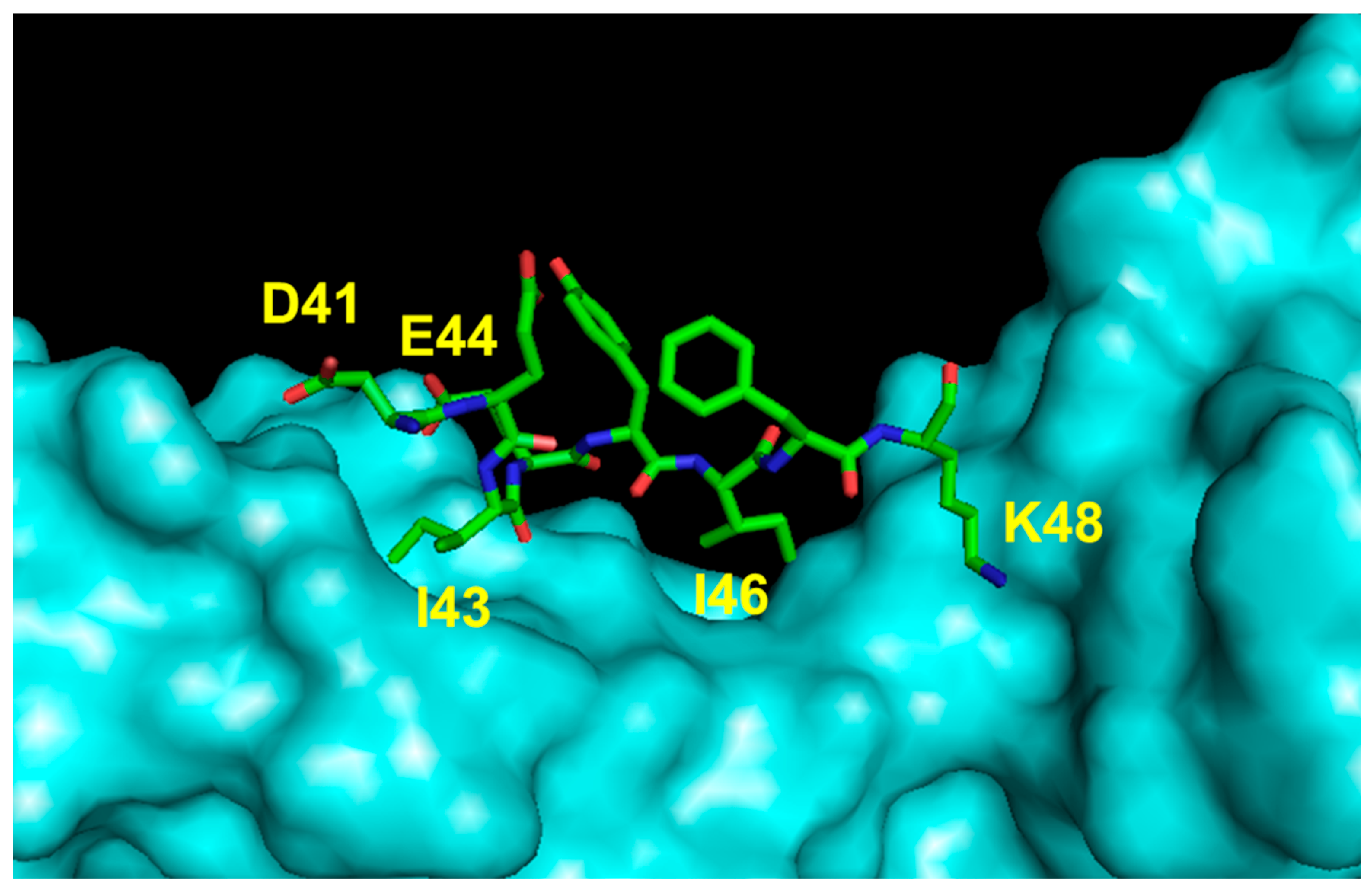 Pharmaceuticals 16 00851 g006 Pharmaceuticals 16 00851 g006