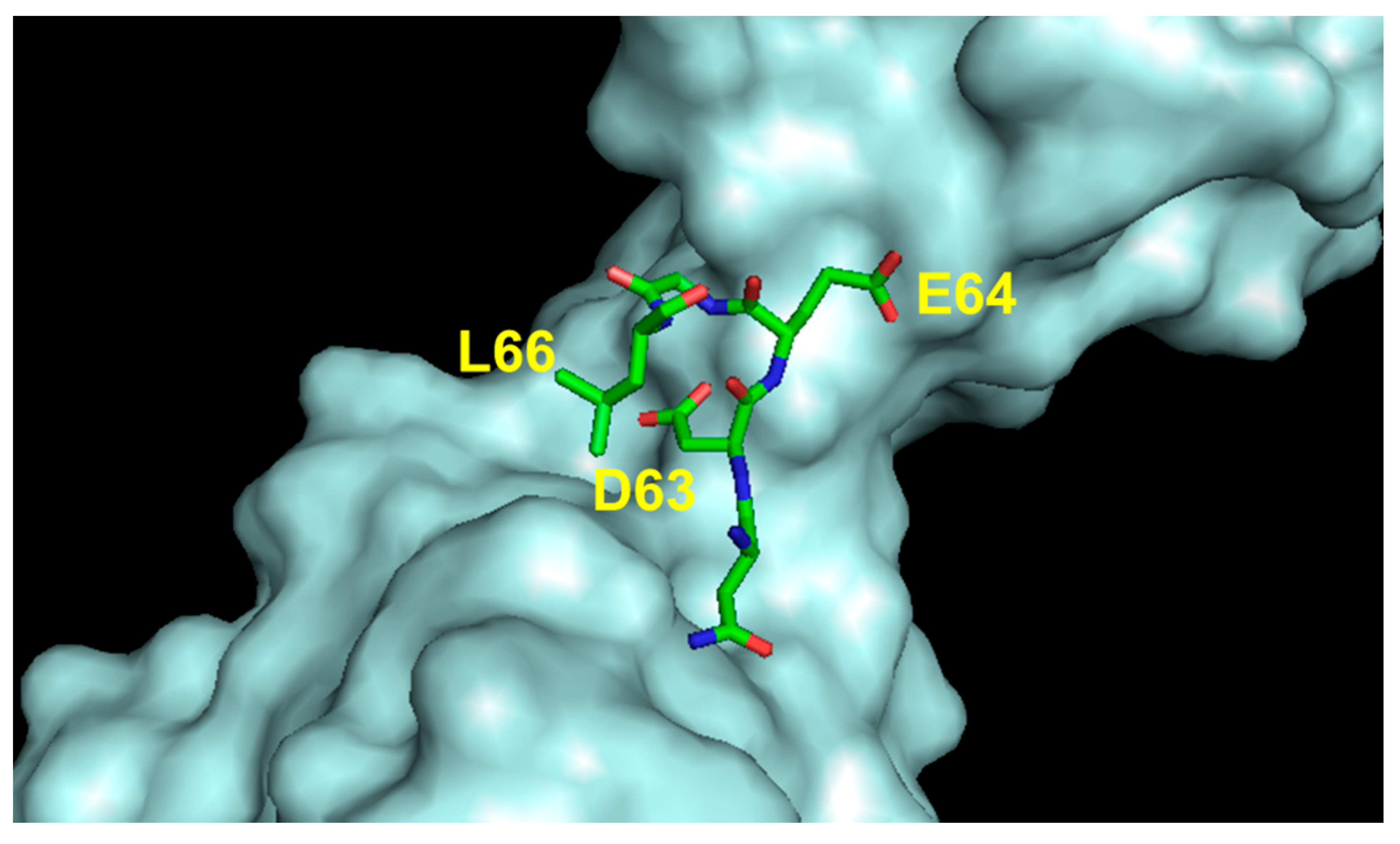 Pharmaceuticals 16 00851 g007 Pharmaceuticals 16 00851 g007