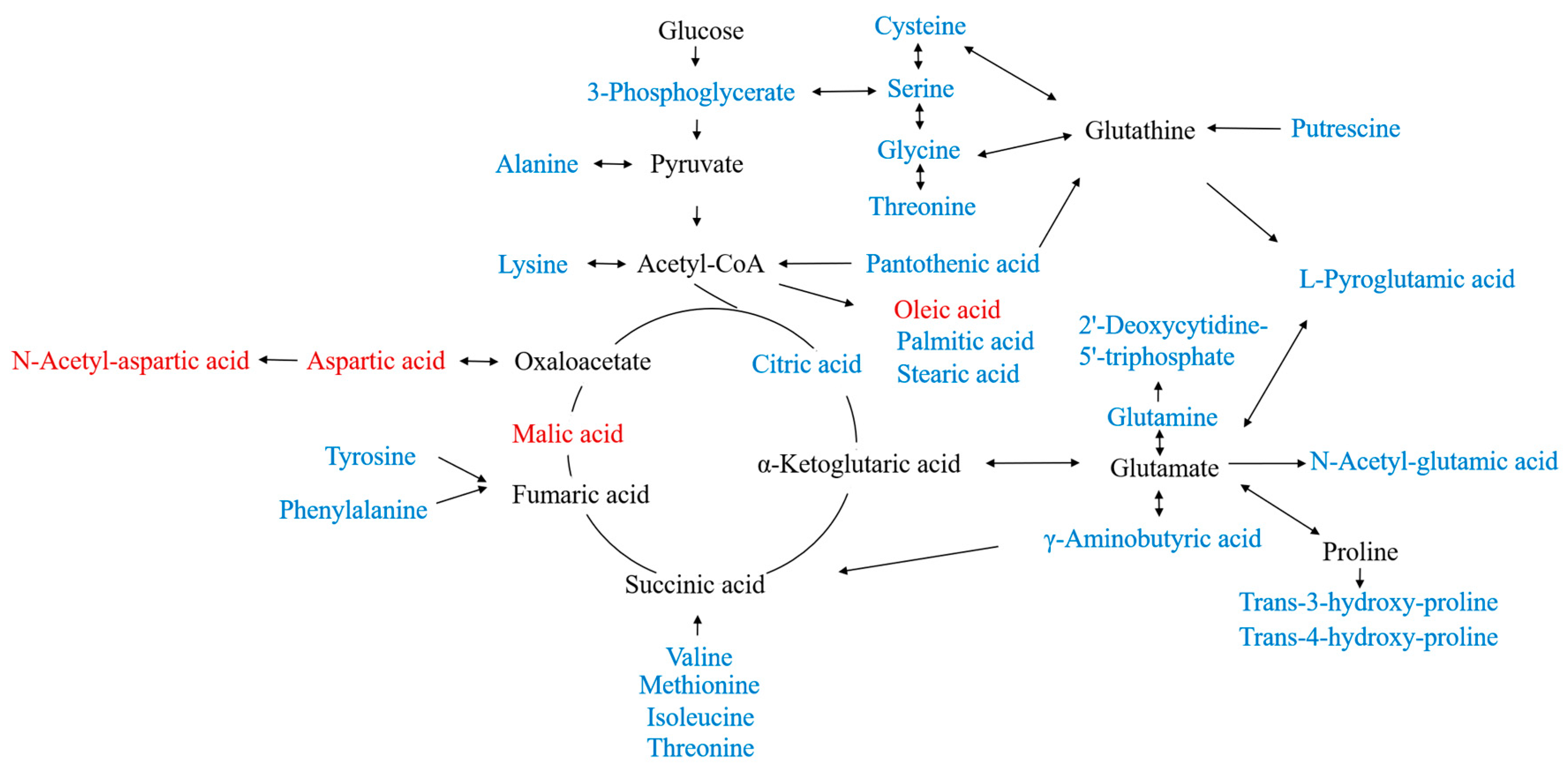 Pharmaceuticals 16 00861 g006 Pharmaceuticals 16 00861 g006