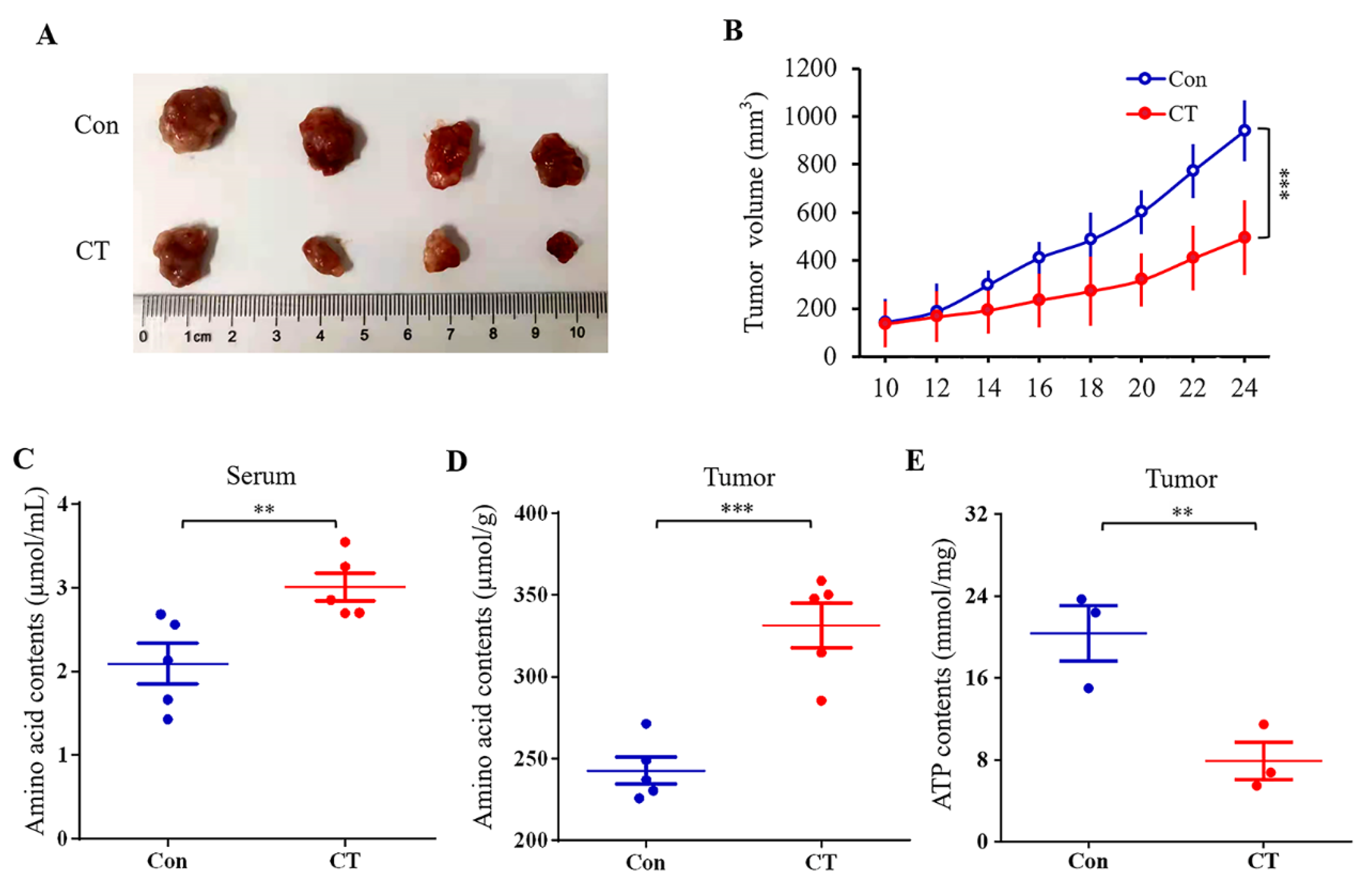 Pharmaceuticals 16 00861 g008 Pharmaceuticals 16 00861 g008